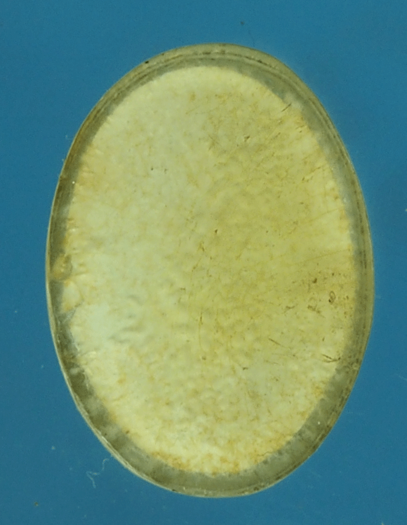 B2389 หัวแหวนหลวงพ่อทองแดง ไม่มราบที่และปีสร้าง 3