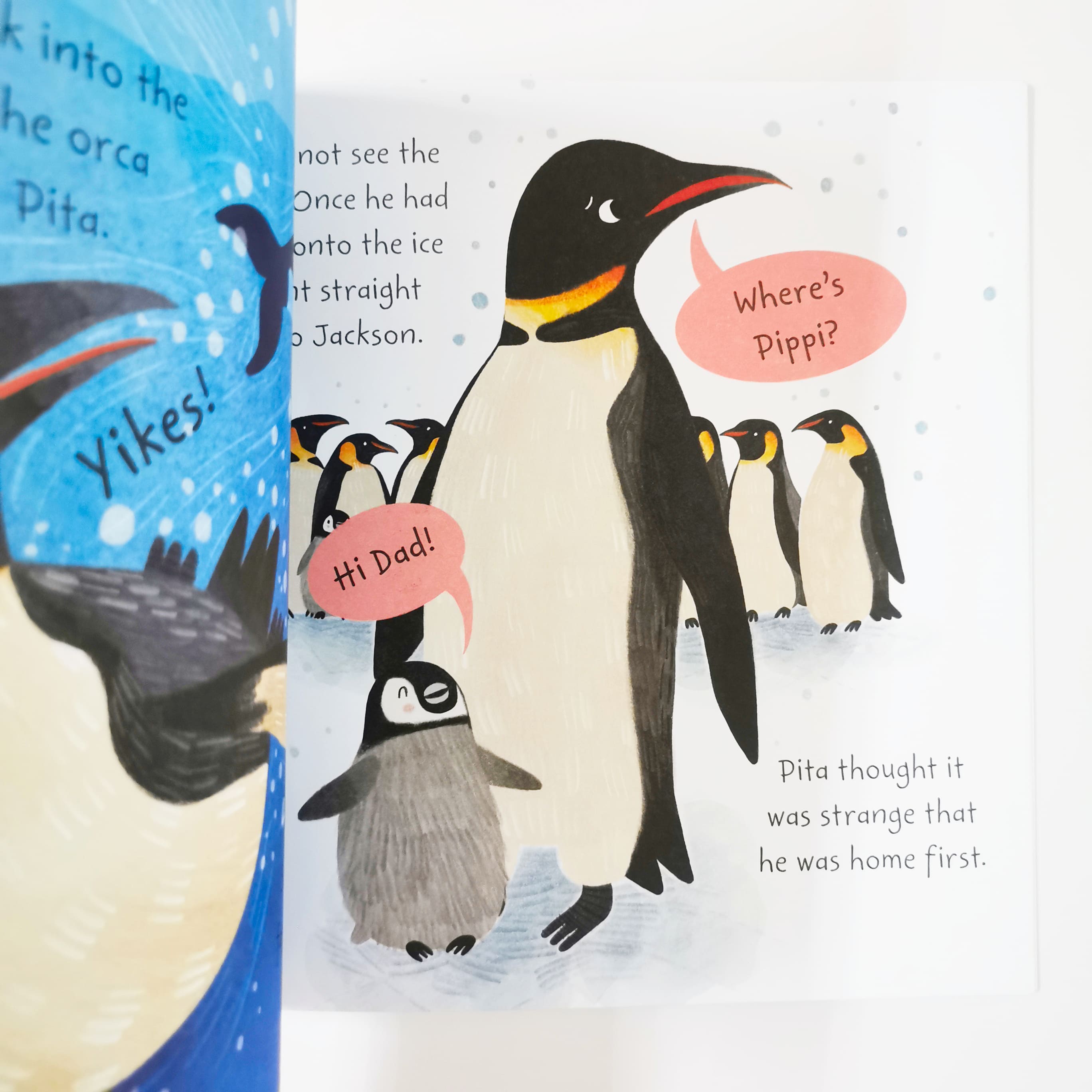 Pippi the Penguin (Stories from the Sea)