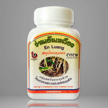 ว่านเอ็นเหลืองแคปซูล สมุนไพรดวงพร คลายเส้นเอ็นตึง