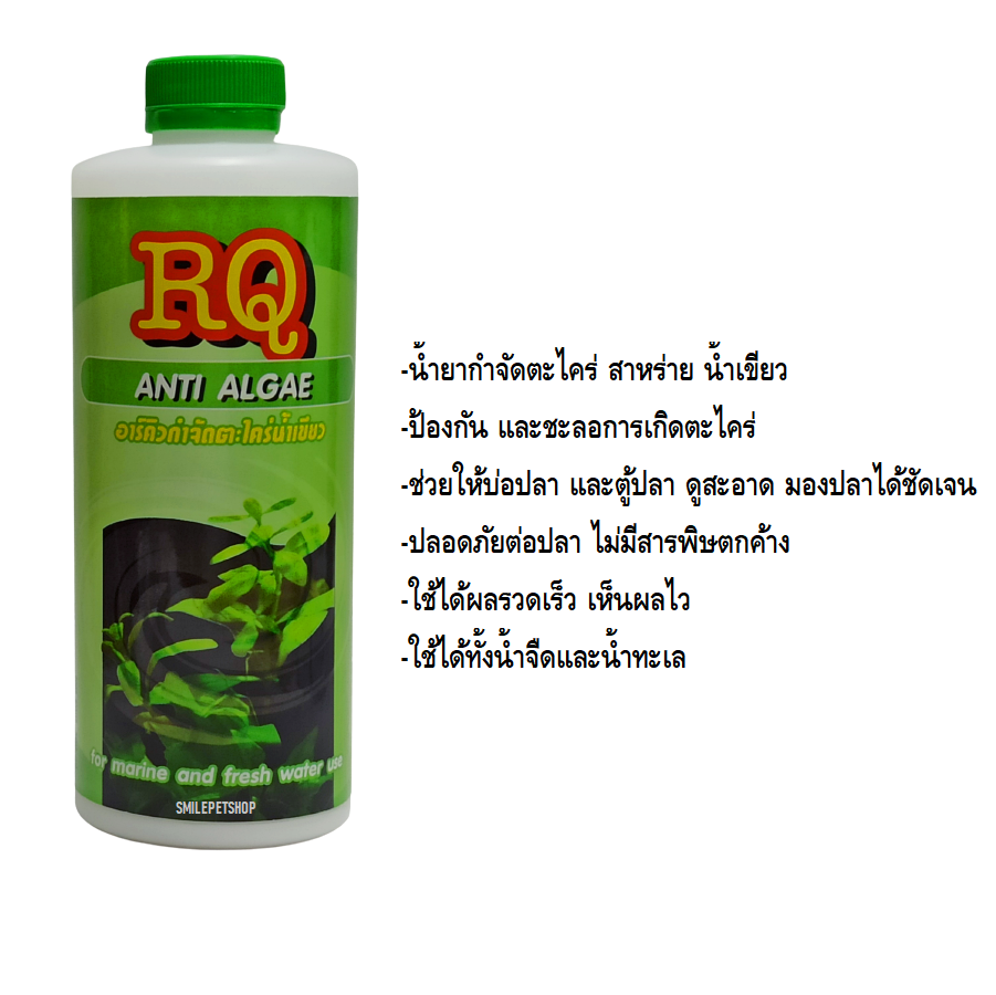 RQ Anti Algae (น้ำยากำจัดตะไคร่ น้ำขียว สาหร่าย ตะไคร่ ในบ่อปลา และตู้ปลา)