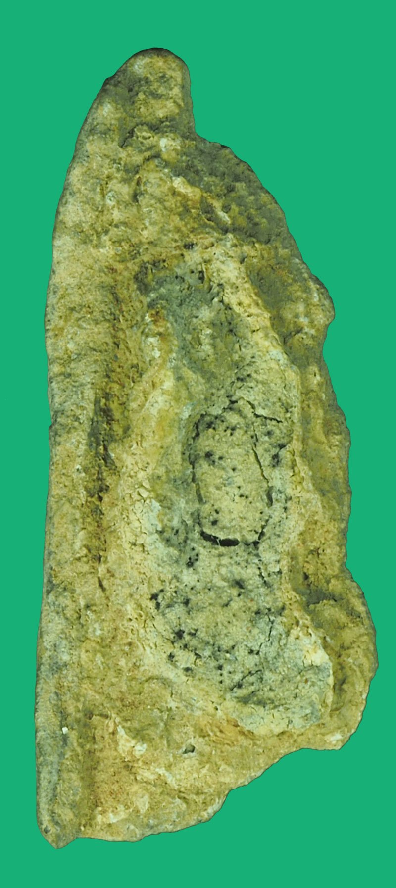 A5534 พระพิมพ์นาคปรก กรุวัดมอญ อ่างทอง เนิ้อผงใบลาน 89