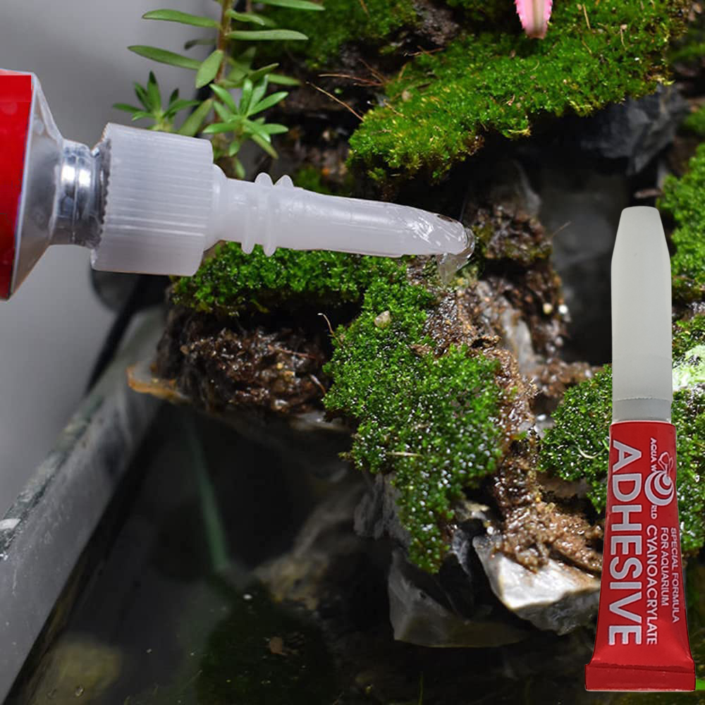 AQUA WORLD AQUARIUM ADHESIVE 5g.(กาวติดไม้น้ำ มอส ปะการัง ขอนไม้ หิน เจลใส ติดง่าย แห้งไว ติดใต้น้ำได้ ปลอดภัยต่อปลา)