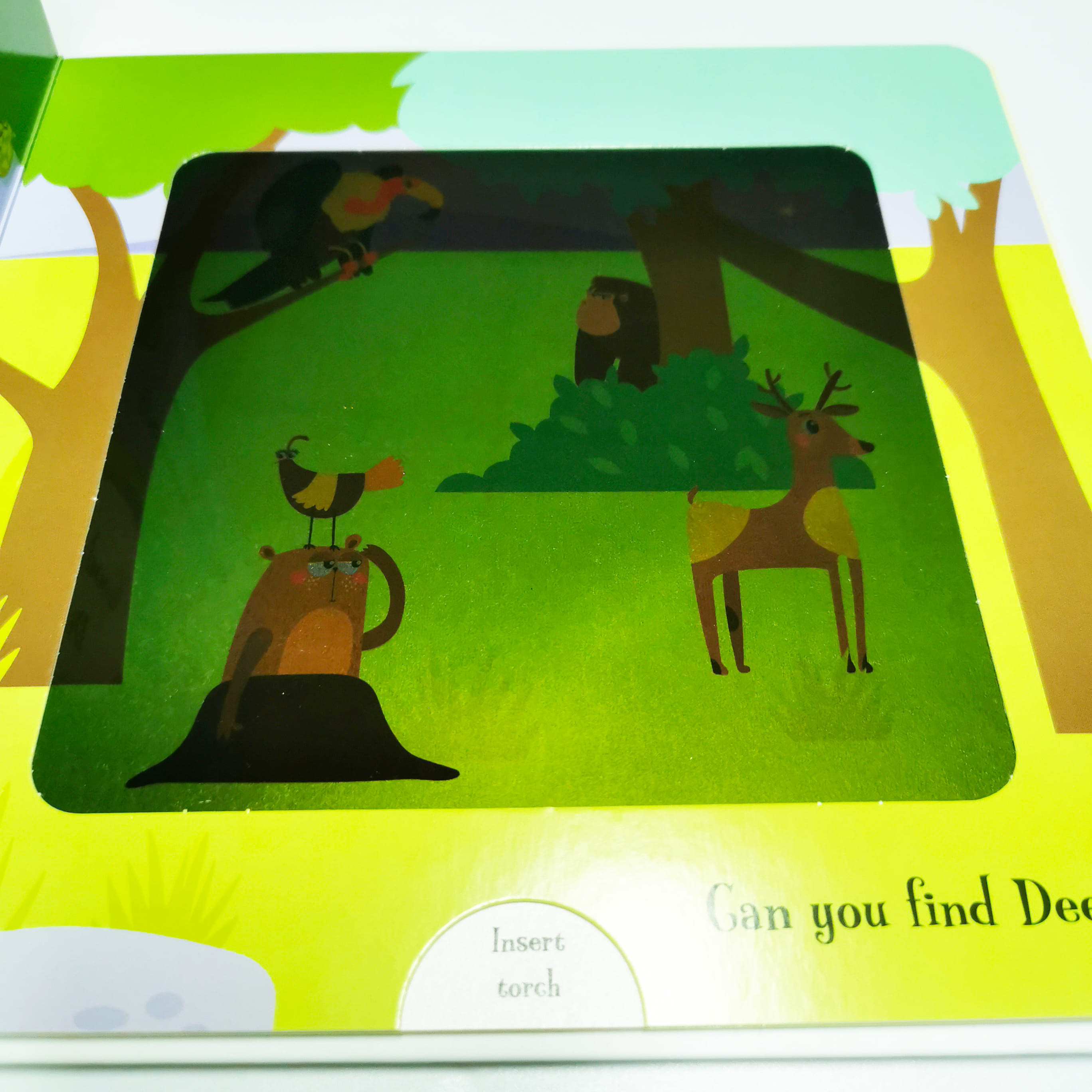 Goodnight Frog (Magic Torch Books)