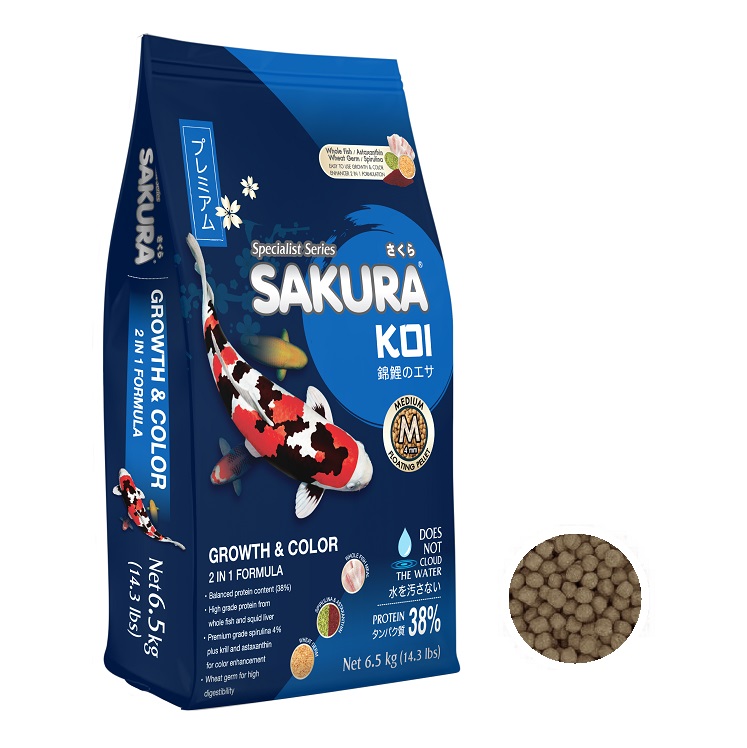 SAKURA KOI Growth&Color 6.5 kg. (อาหารปลาคาร์พสูตร เร่งโตและเร่งสี)