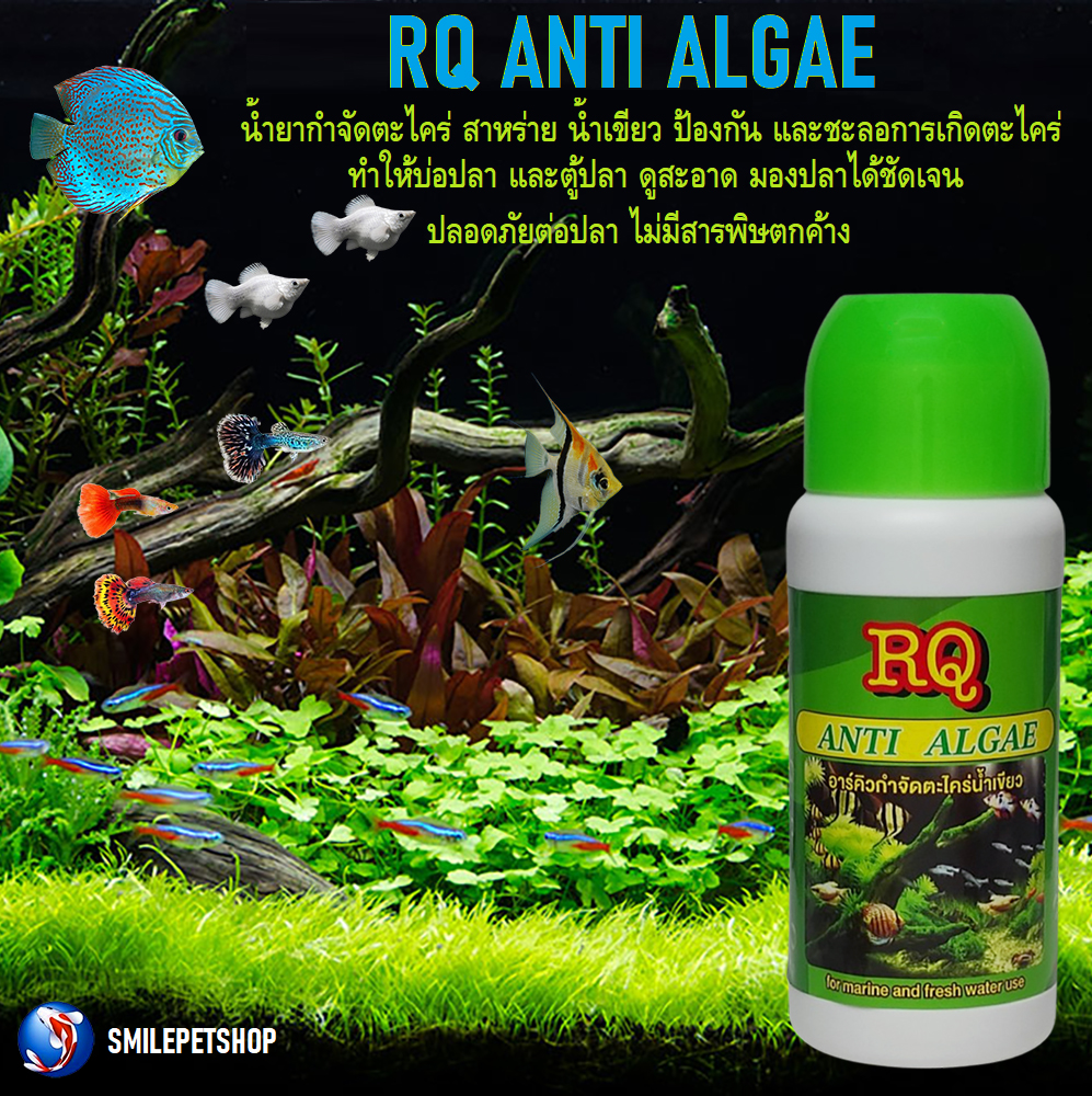 RQ Anti Algae (น้ำยากำจัดตะไคร่ น้ำขียว สาหร่าย ตะไคร่ ในบ่อปลา และตู้ปลา)