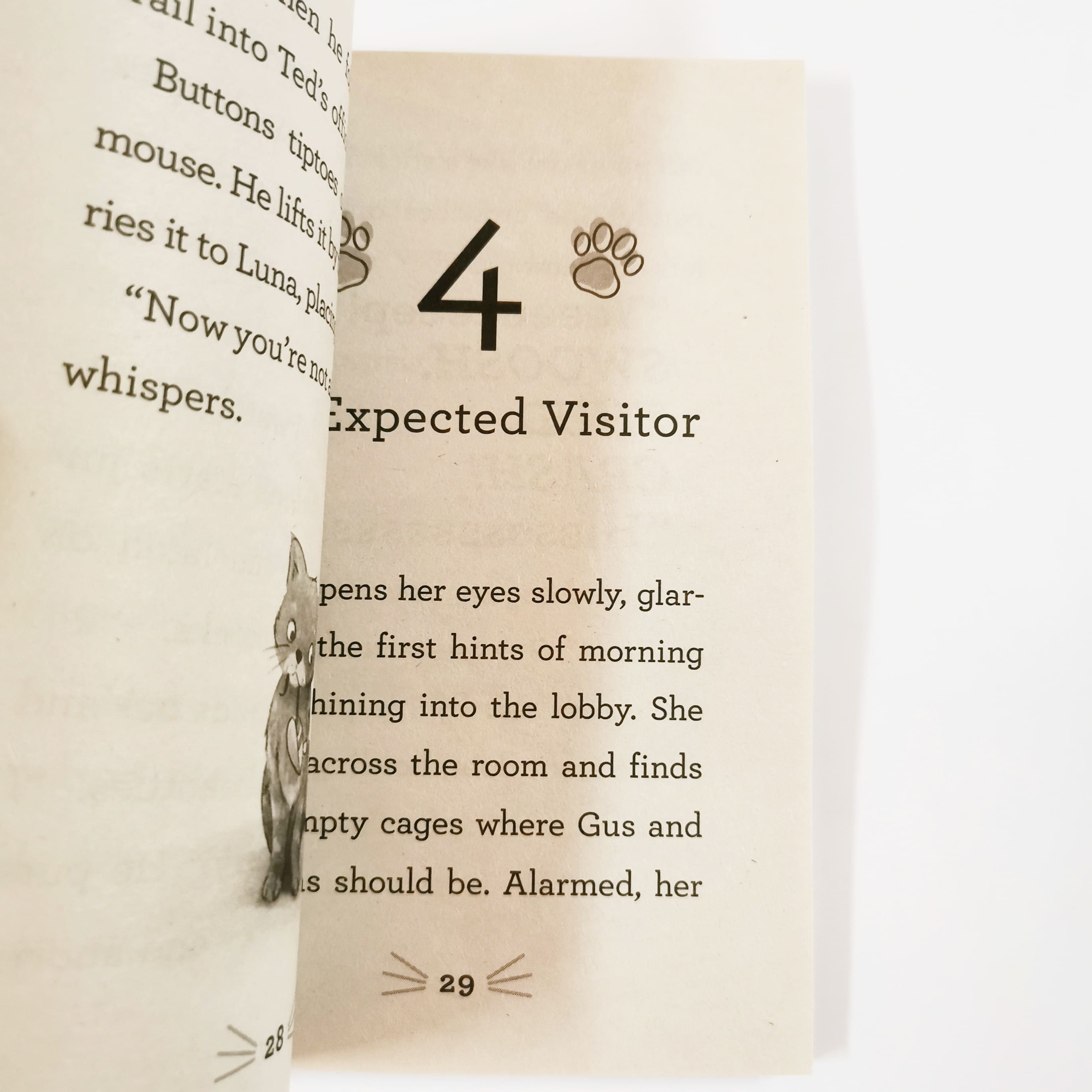 Mitzy's Homecoming #1 (Pet Pals)