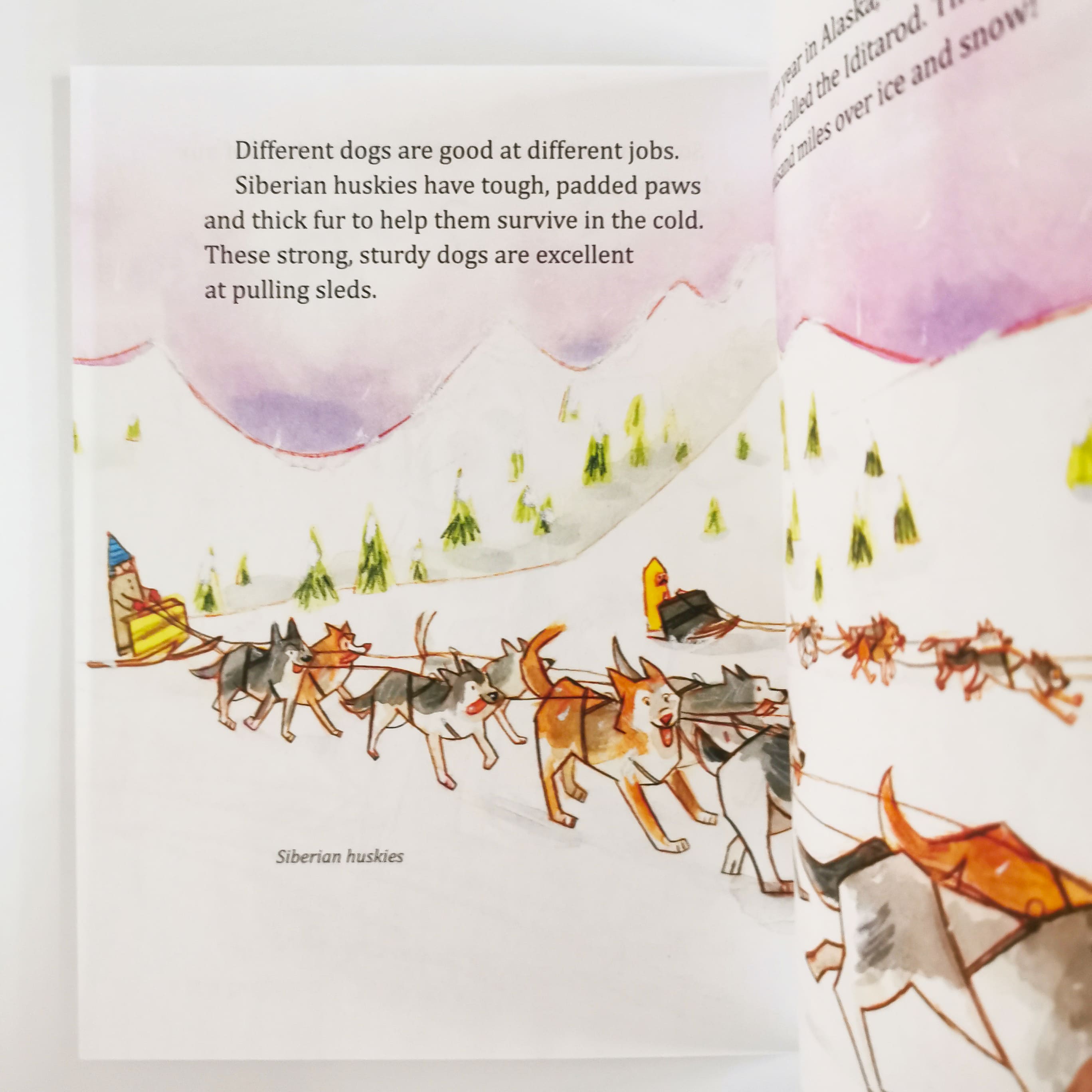 My Little Golden Book About Dogs (LGB)