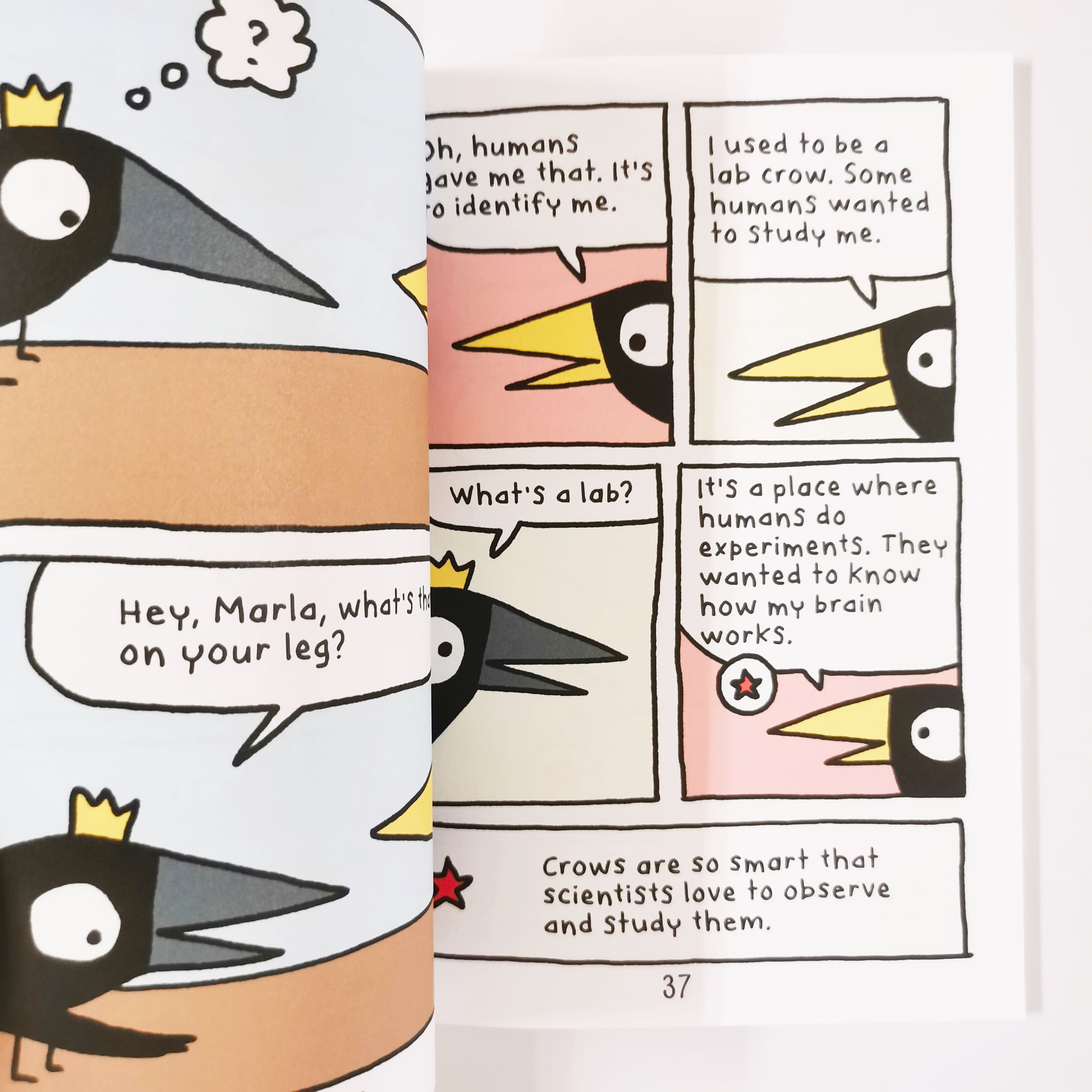 Join the Crow Crowd (Arlo & Pips #2)