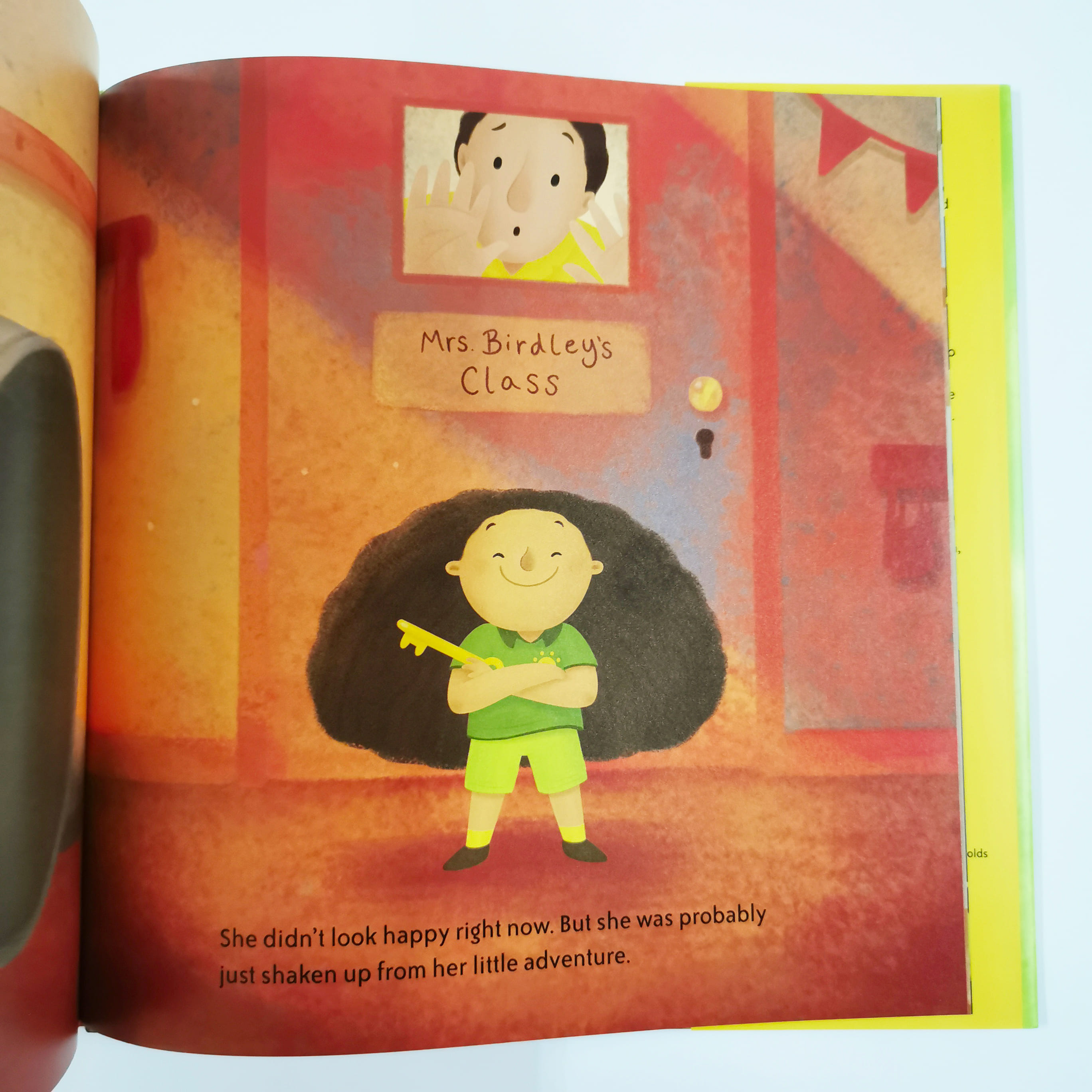 Rescuing Mrs. Birdley