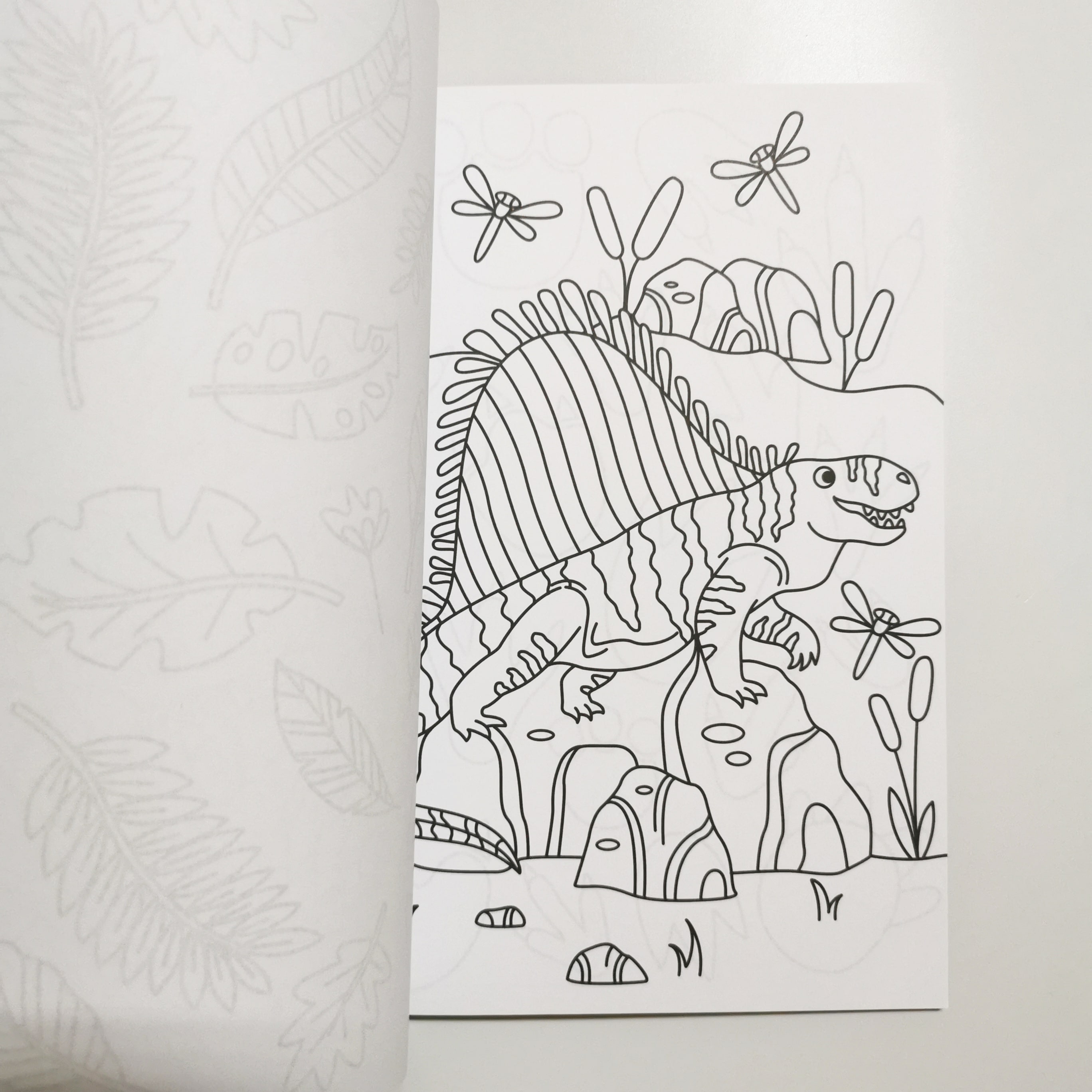 Dino Colouring