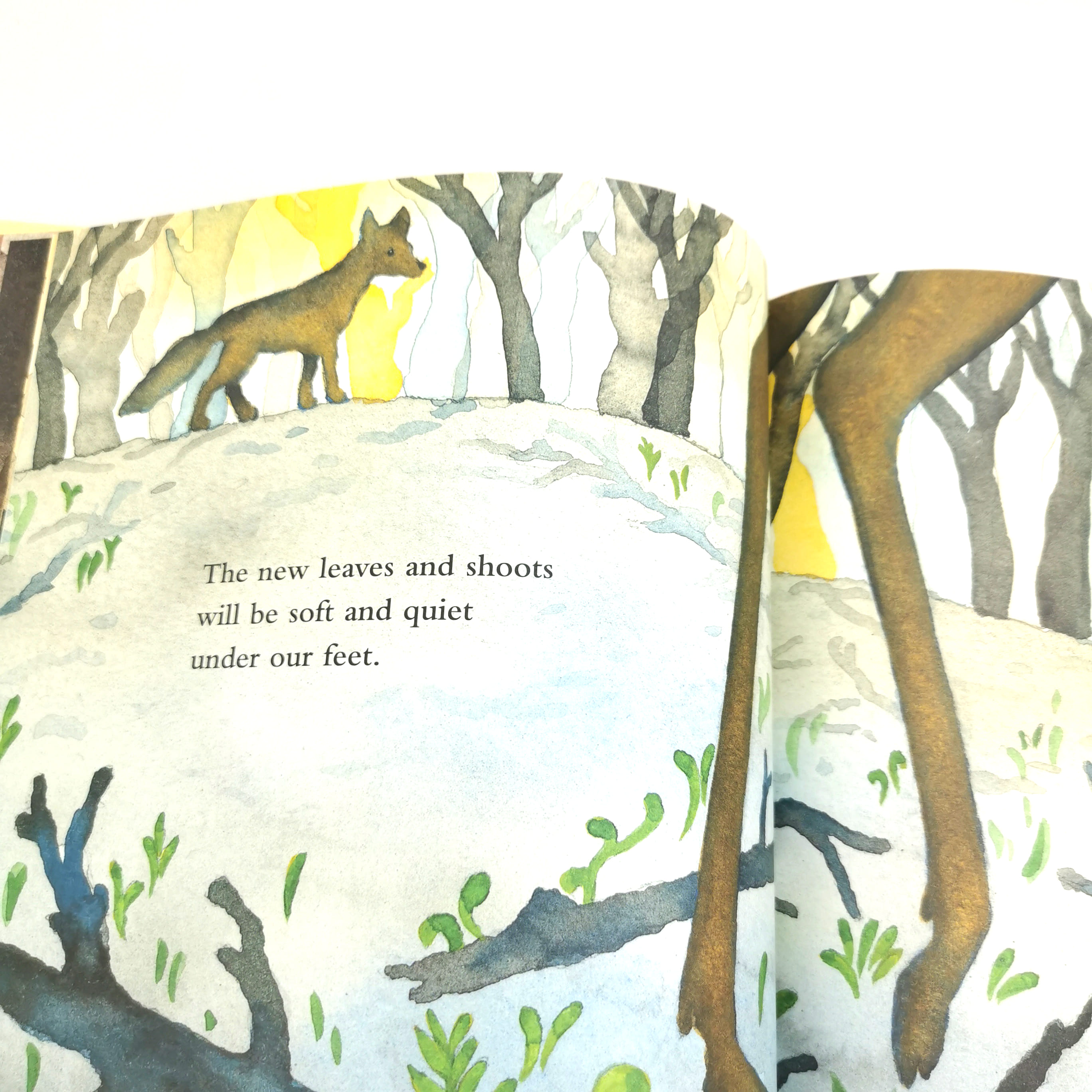 We Will Live in This Forest Again