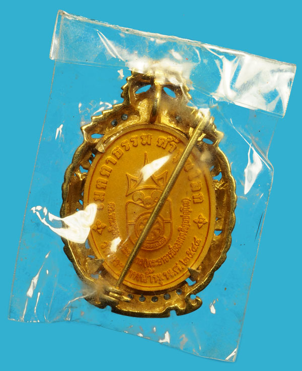 A5131 เหรียญเจ้าคุณอลงกต วัดพระบาทน้ำพุ ลพบุรี 10