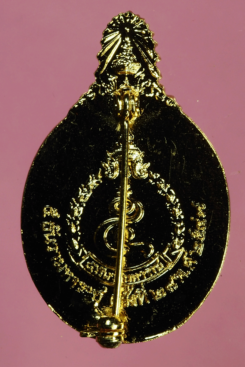 ฺB2630 เหรียญในหลวงรัชกาลที่ 9 5 ธันวามหาราช ลงยากระหลั่ยทอง 5