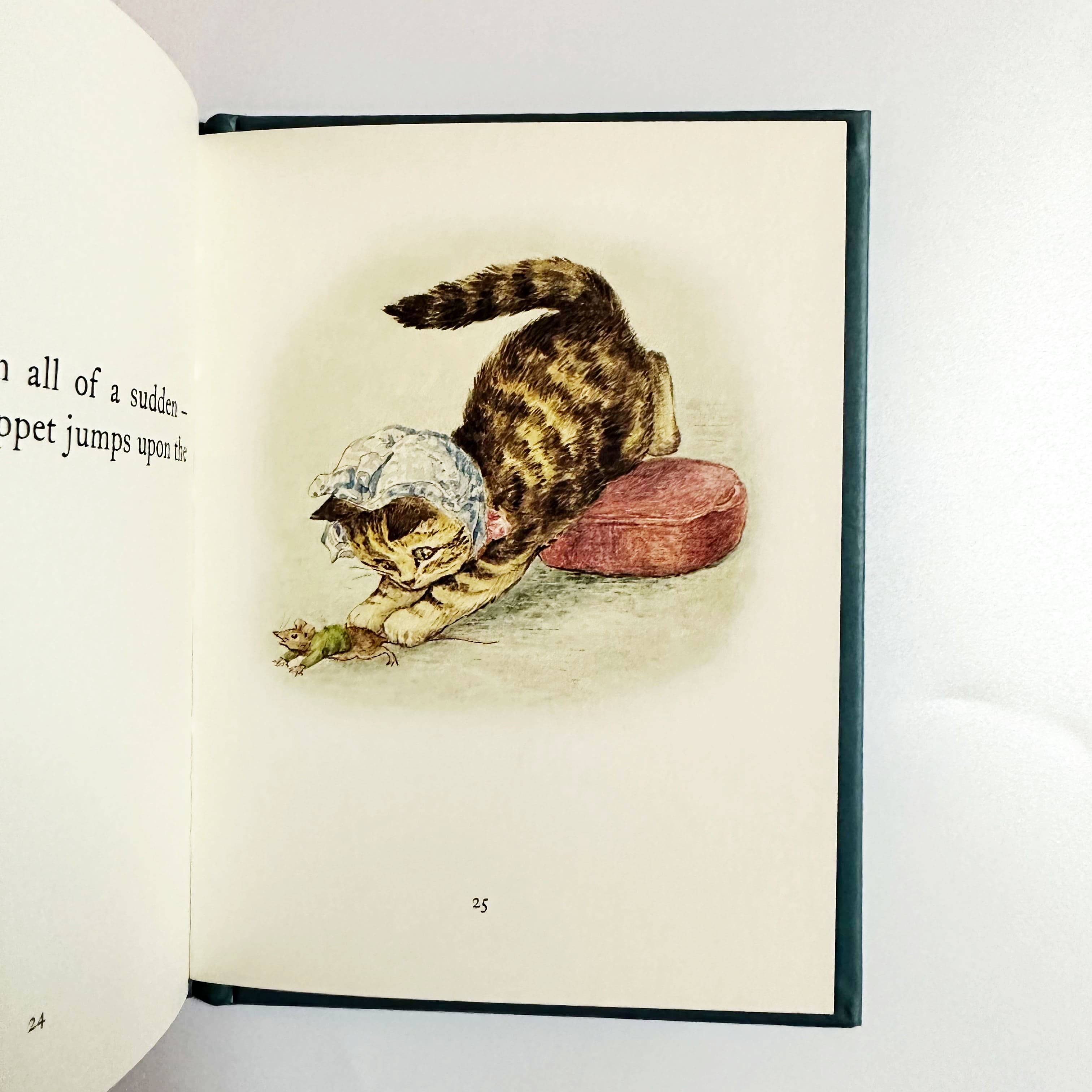 The Story of Miss Moppet