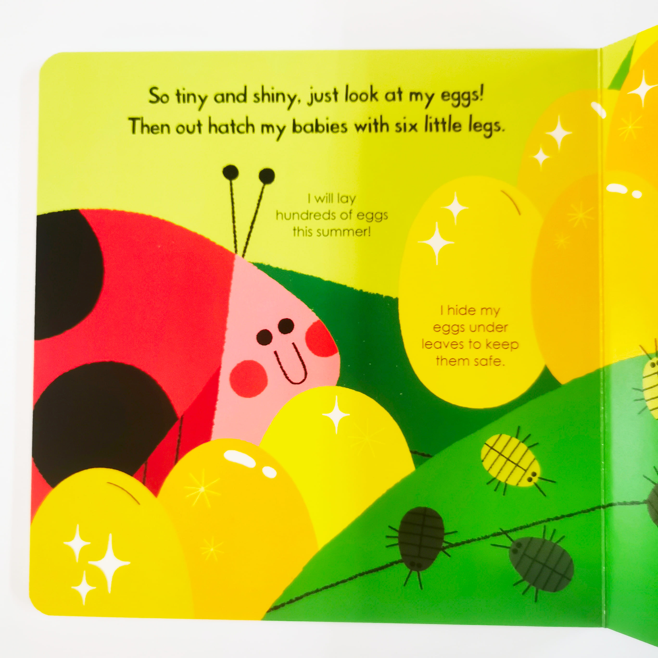 Ladybird (My Little Green World)