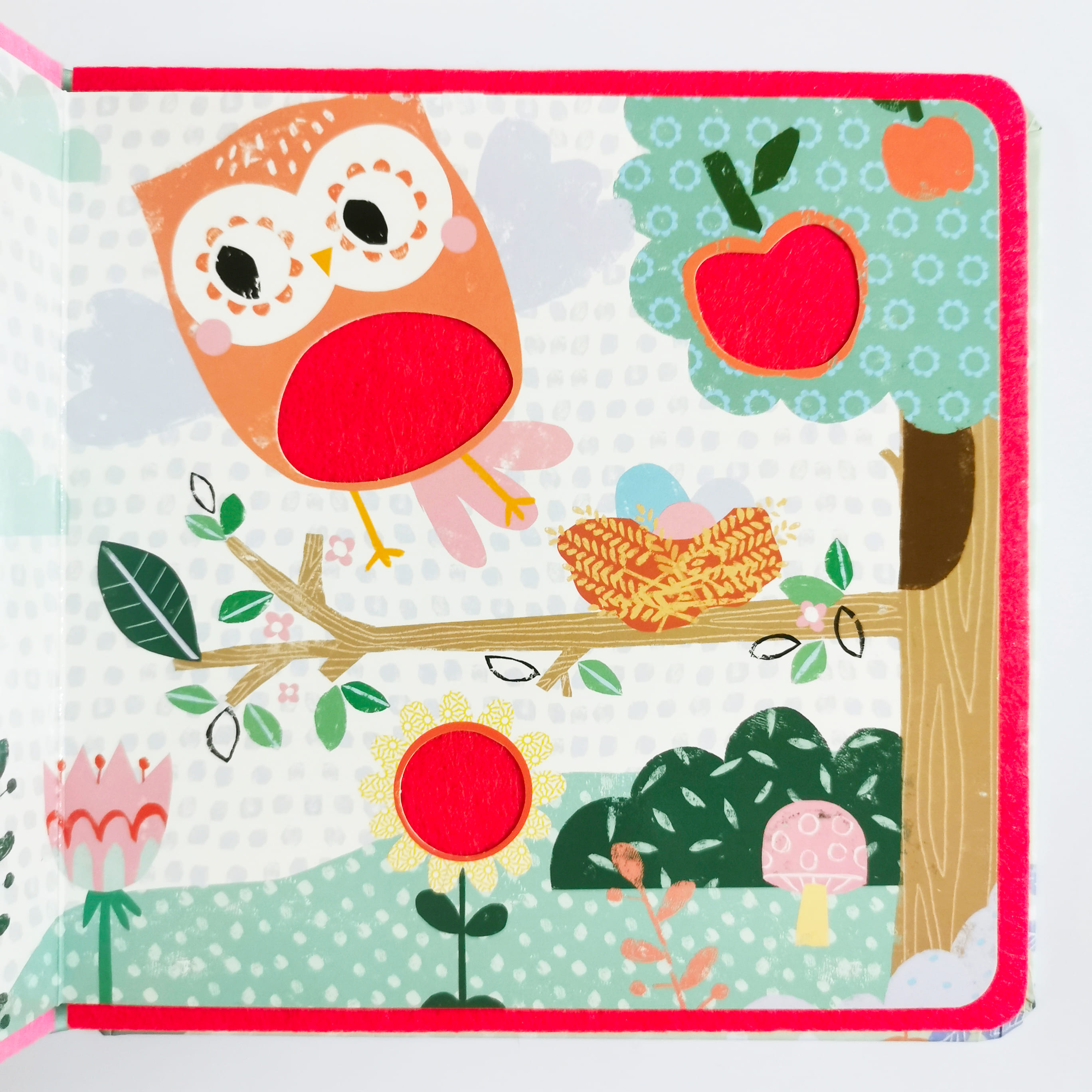 First Words in the Garden (Felt Friends)