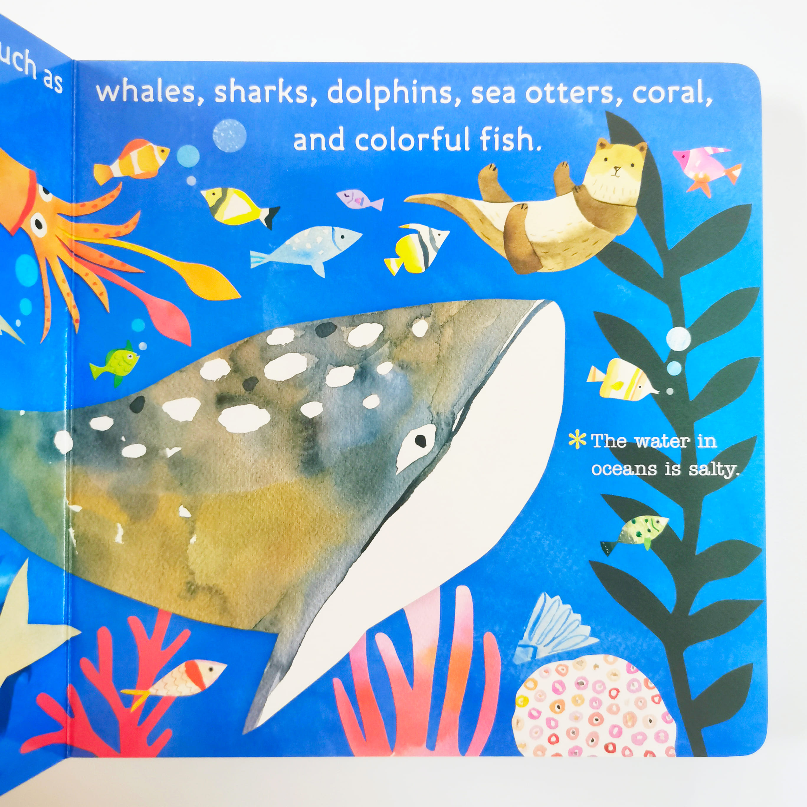 Hello, World! Planet Earth