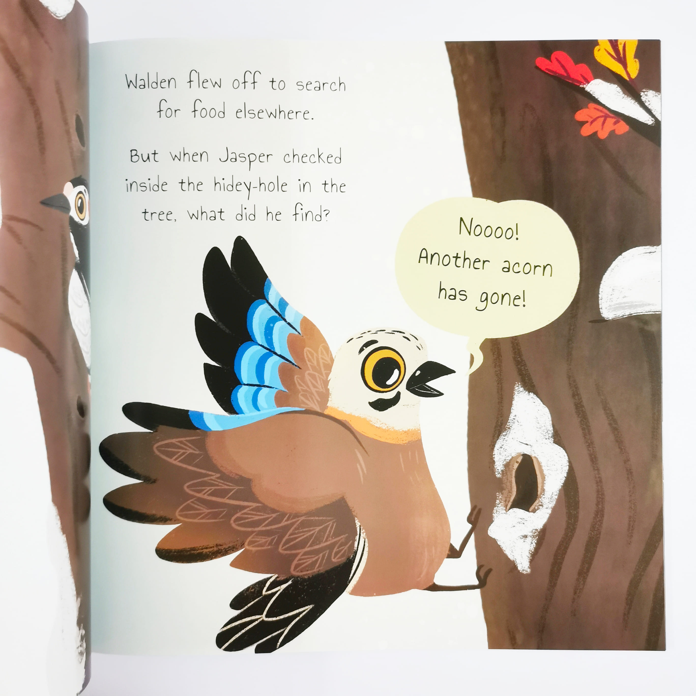 Jasper The Jay (Woodland Tales)