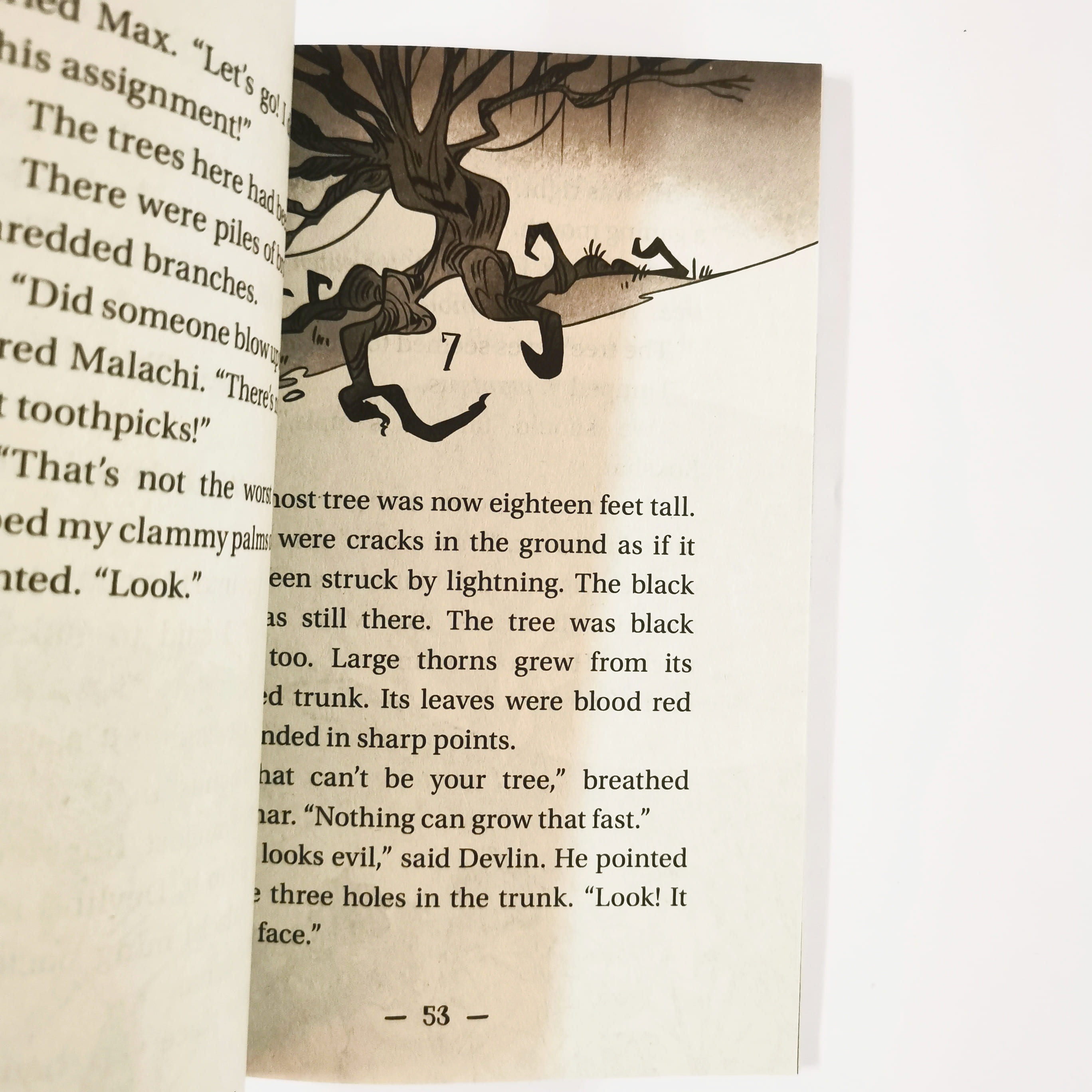 Spooky Sleuths #1: The Ghost Tree