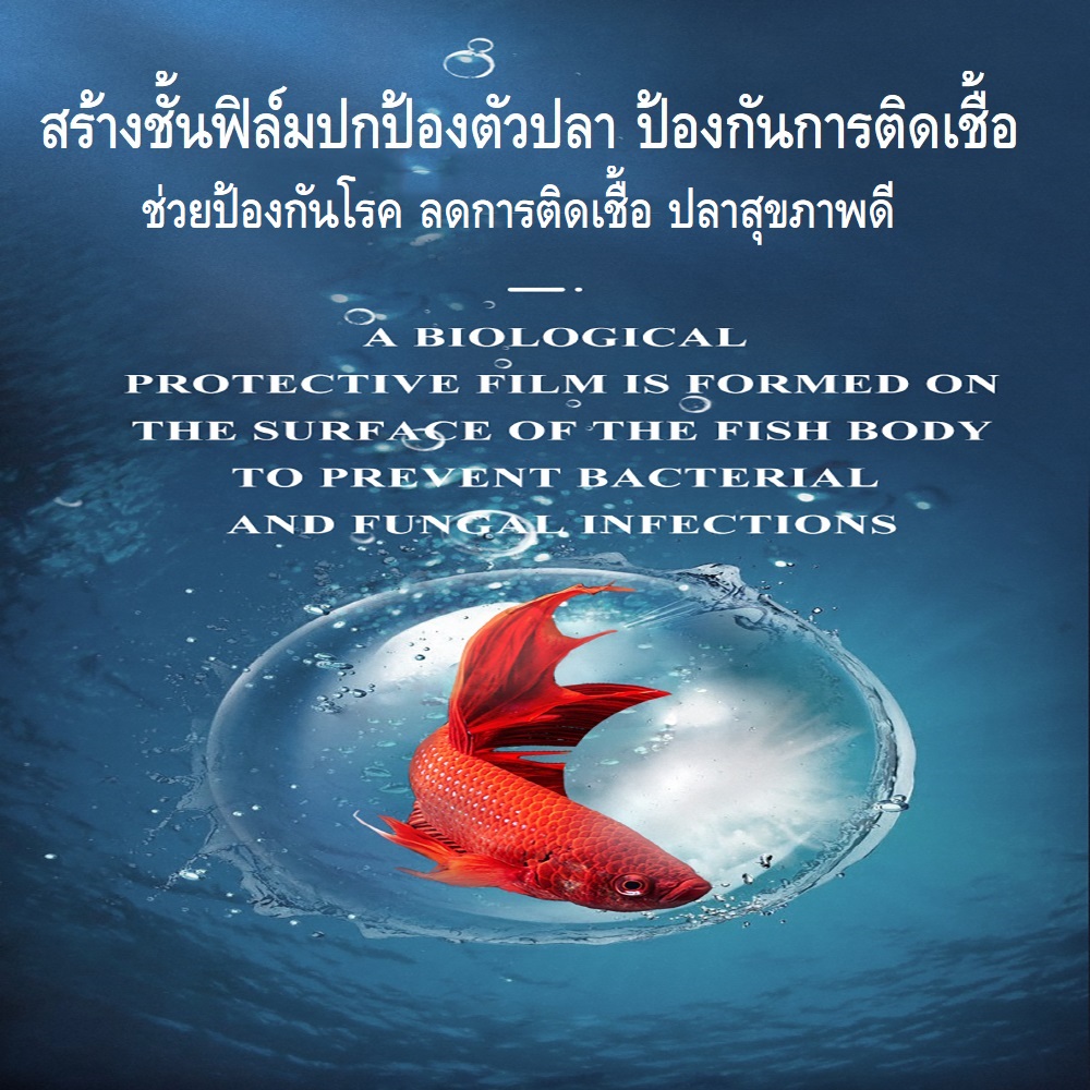 YEE LIQUID STATE NITRIFIER 650ml.(จุลินทรีย์สดแบบมีชีวิต สลายของเสีย ขี้ปลา ลดปัญหาคุณภาพน้ำ ปกป้องสุขภาพปลา เห็นผลไว)