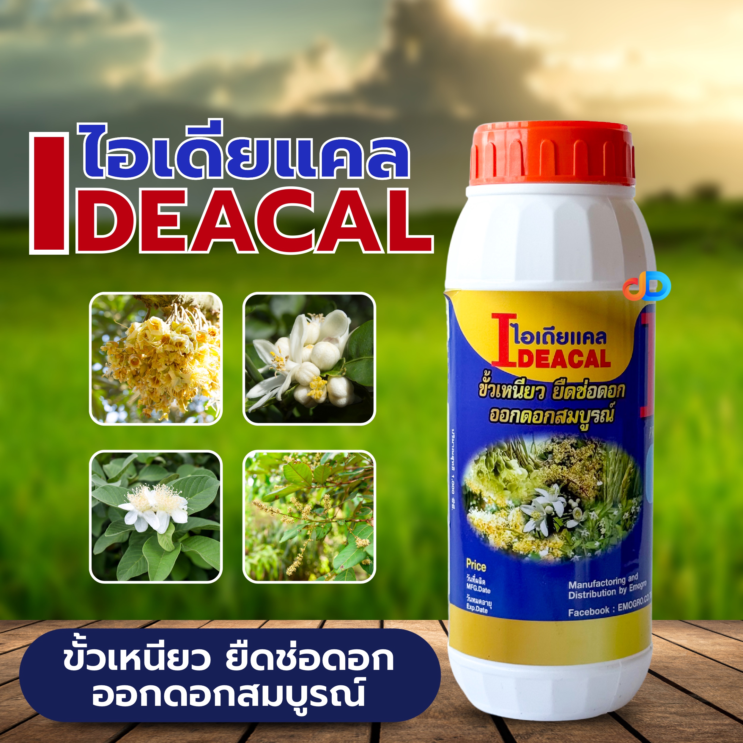 ไอเดียแคล (I DEACEL) Ca8%,B0.2%ขั้วเหนียว ยืดช่อดอก ออกดอกสมบูรณ์
