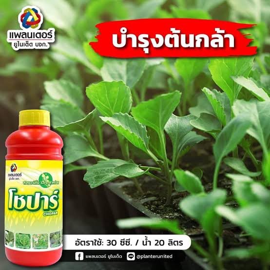โชปาร์ 1000cc สาหร่ายผสมอะมิโน สินค้าจาก แพลนเตอร์ ยูไนเต็ด เร่งต้น โตไว เร่งรากดี ใบเขียว ดอกดก