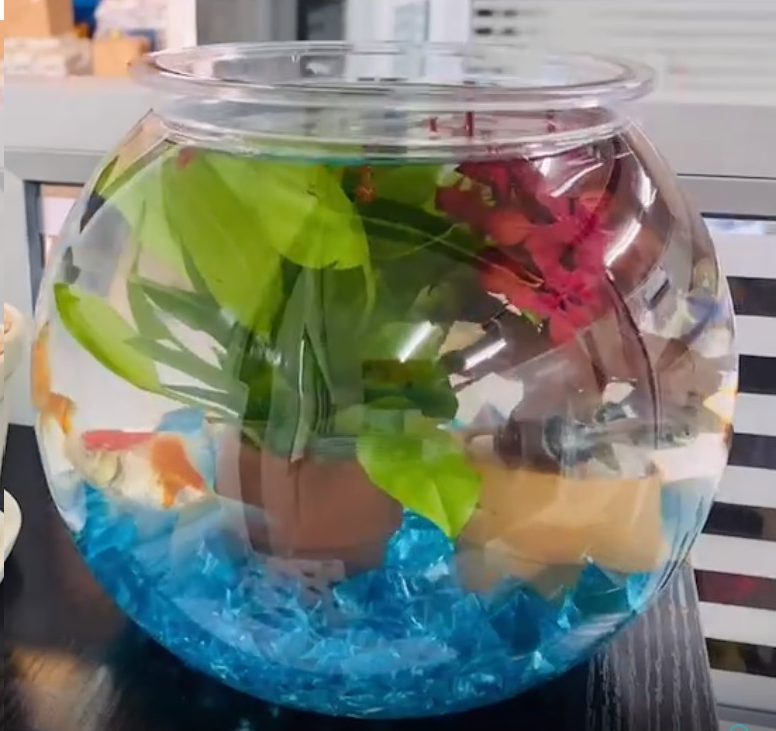 ROUND PET BOWL โหลเลี้ยงปลาทรงกลม (สำหรับเลี้ยงปลา ผลิตจากพลาสติก PET น้ำหนักเบา ใส ตกไม่แตก)