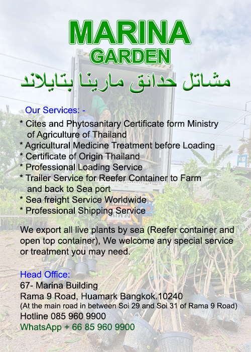 One Stop Service