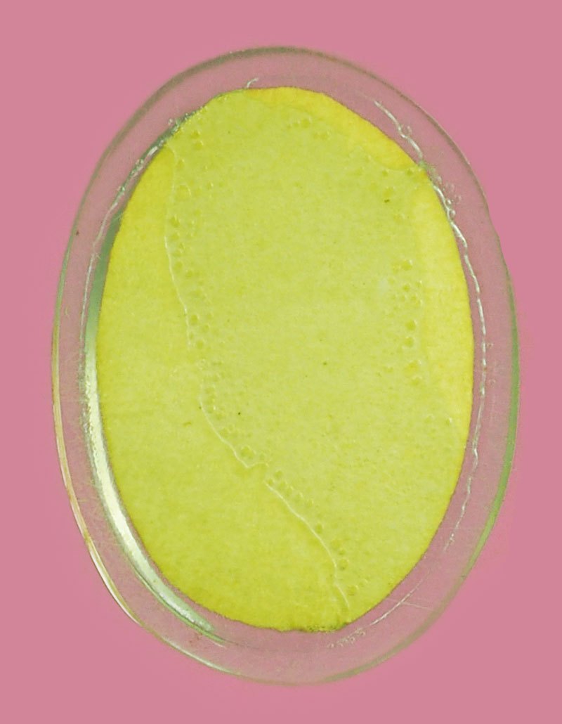 A5359 รูปถ่ายเลี่ยมพลาสติกเก่า ไม่ทราบอาจารย์ 3