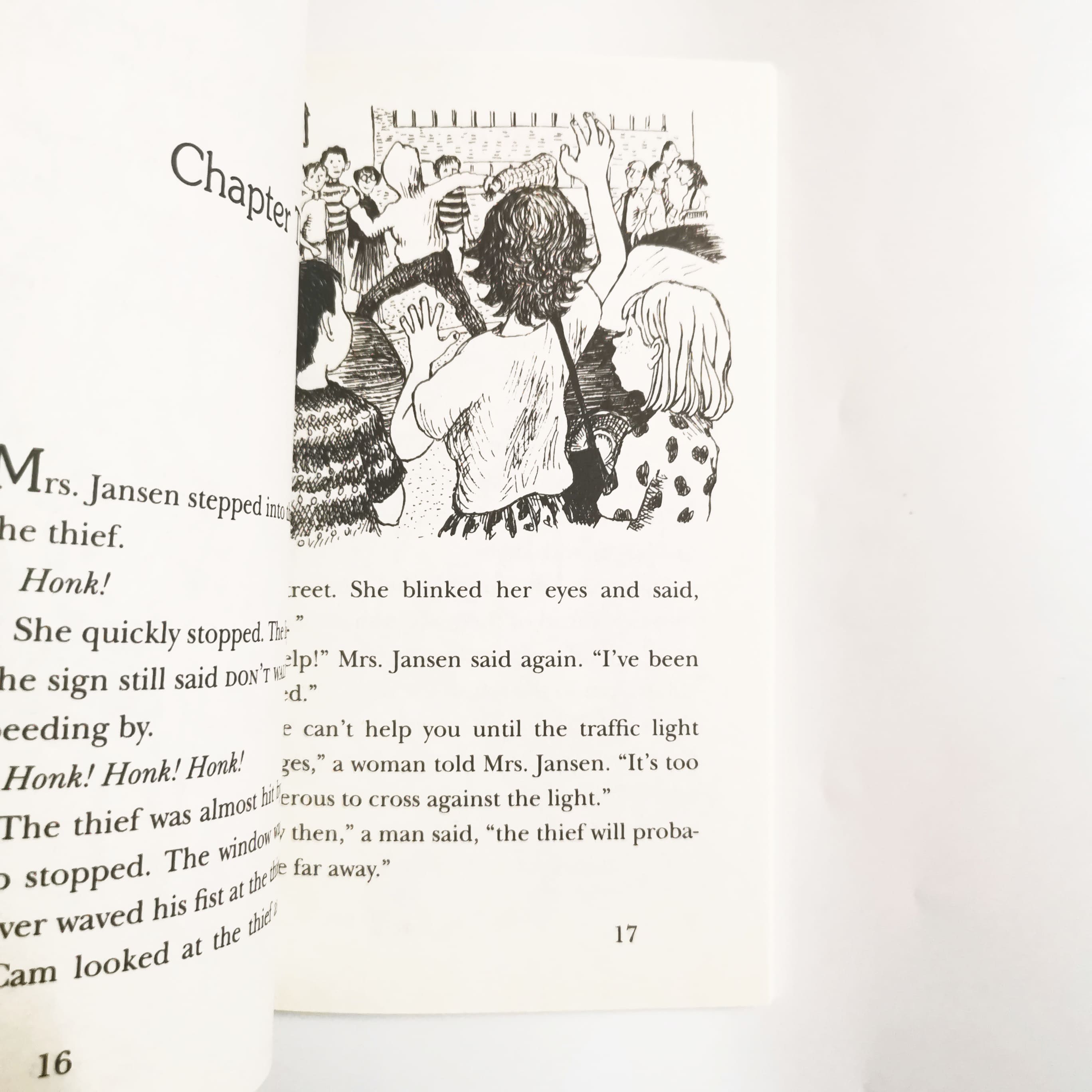 Cam Jansen The Scary Snake Mystery #17