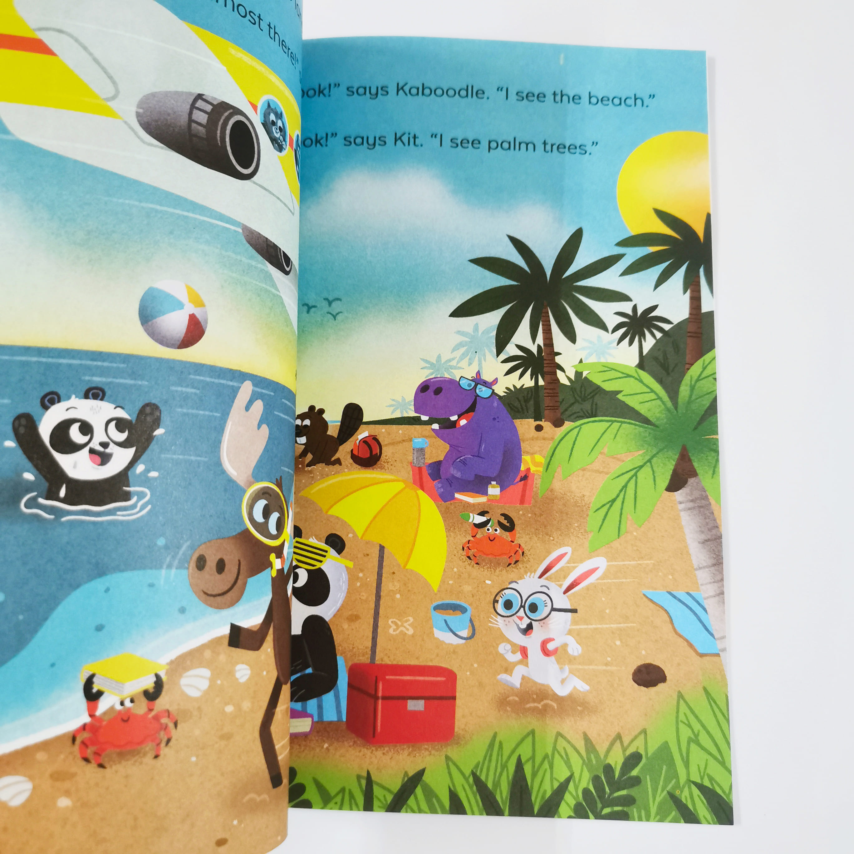 Kit and Kaboodle Fly the Skies