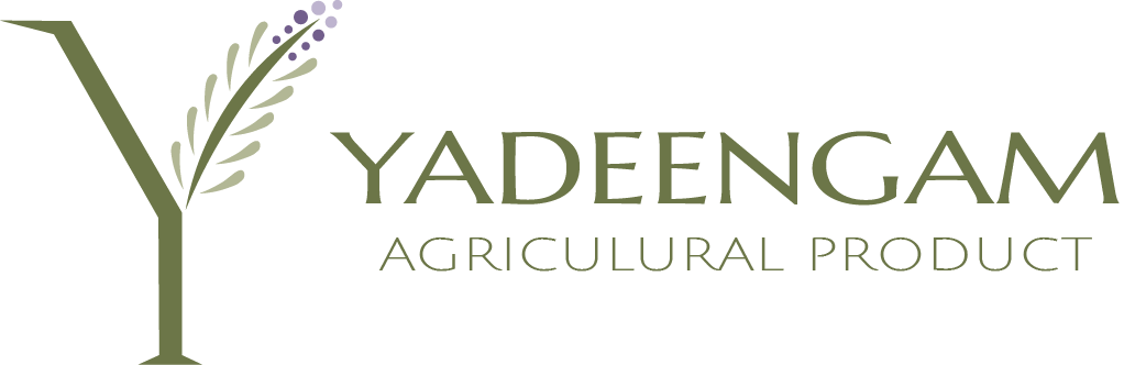 Yadeengam
