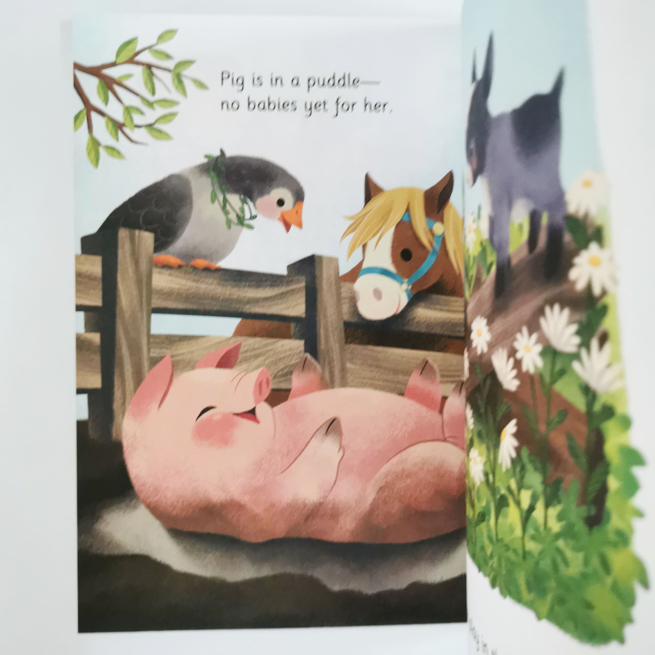 Springtime Babies (LGB)