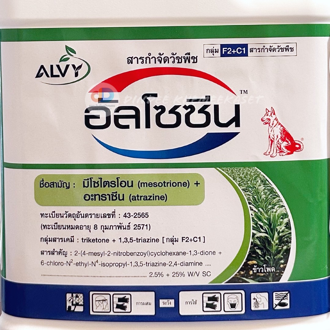 อัลโซซีน มีโซไตรโอน + อะทราซีน (สารตัวเดียวกับคาลารีส) สารคุม-ฆ่าวัชพืชในไร่ ข้าวโพด และไร่อ้อย ขนาด 5ลิตร