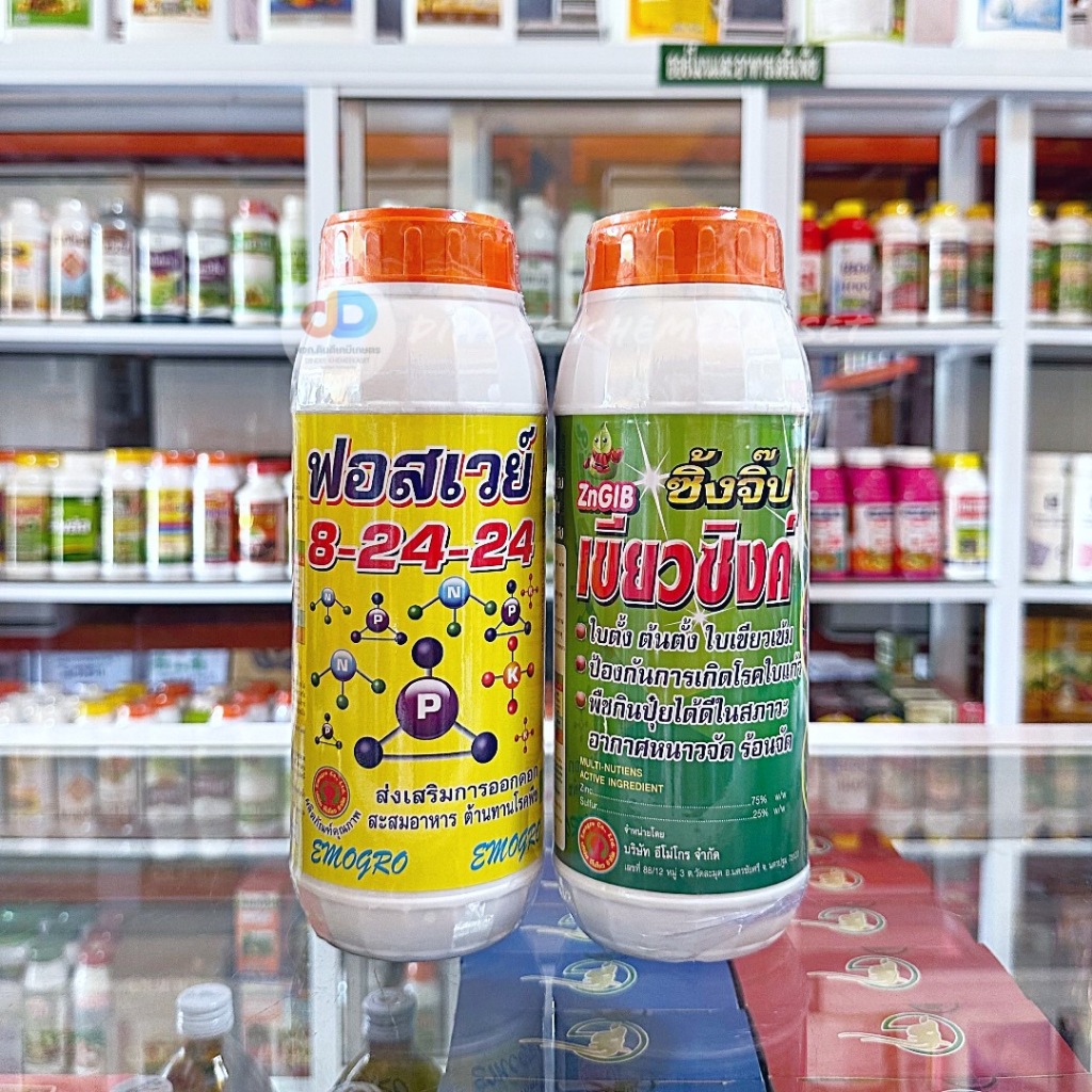 (ชุด2ขวด) ปุ๋ยน้ำฟอสเวย์ 8-24-24 ขนาด1 ลิตร ส่งเสริมการออกดอก+ซิ้งจิ๊ป-เขียวซิงค์ ธาตุสังกะสี ขนาด 1 ลิตร ใบตั้ง ต้นตั้ง