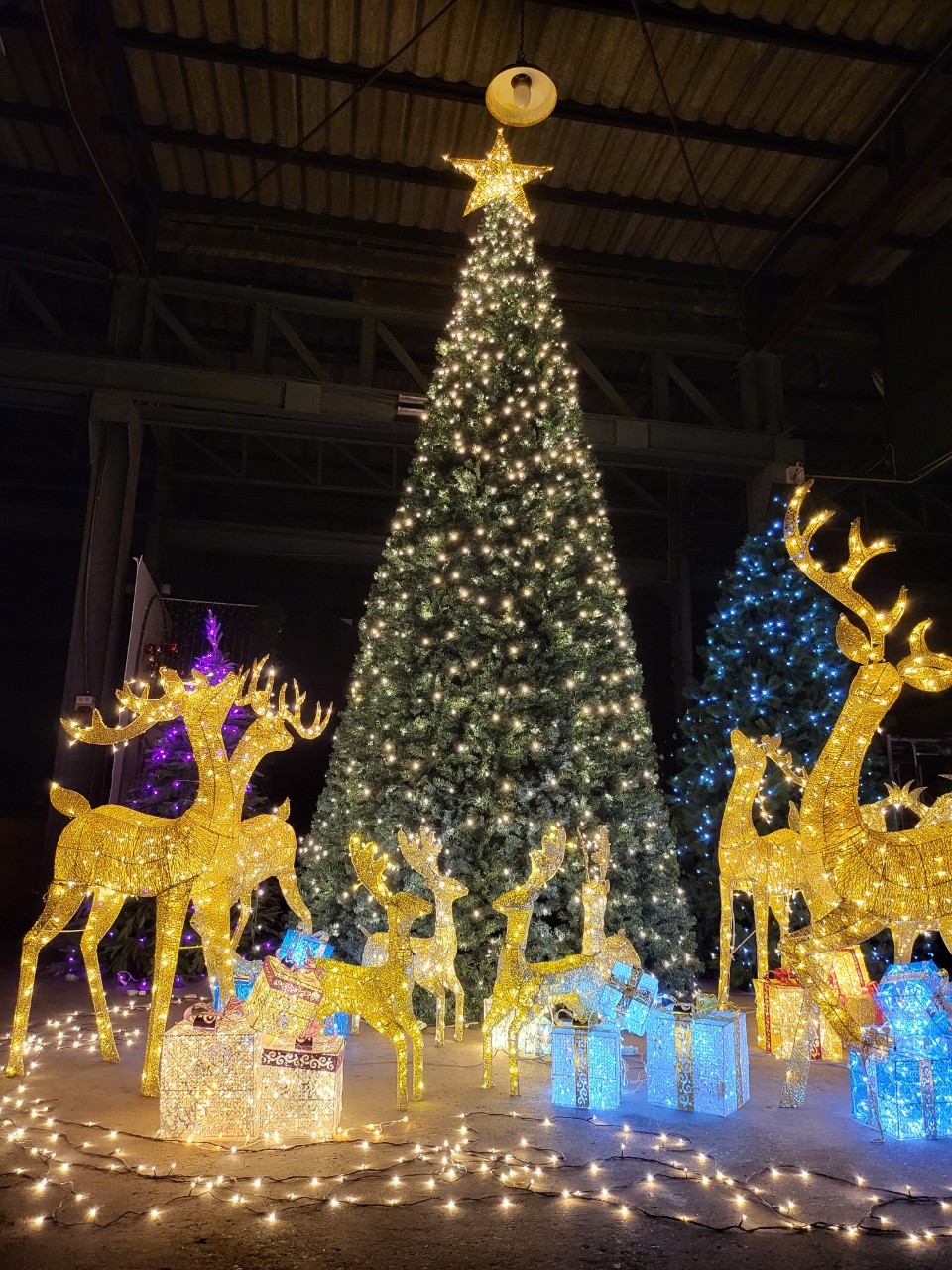 รวบรวมอุปกรรืในการจัดแต่งคริสต์มาสมาให้เช่าเพื่อเพิ่มเติมสีสันในวันคริสต์มาสที่ดี