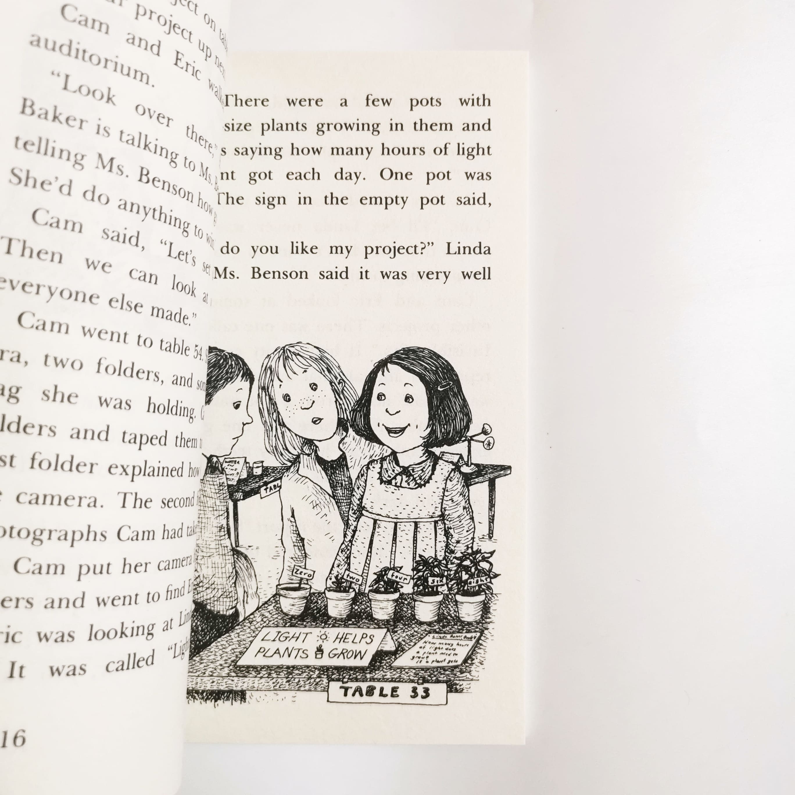 Cam Jansen The Mystery of the Gold Coins #5