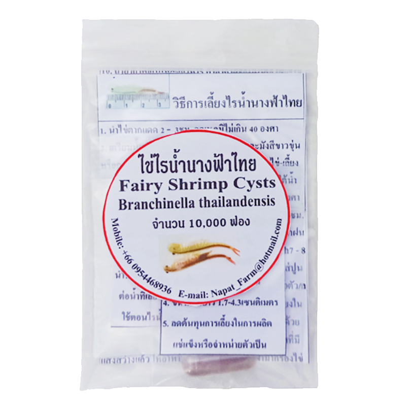 ไข่ไรน้ำนางฟ้าไทยบรรจุแคปซูล (Fairy Shrimp Cysts ฟักง่าย โปรตีนสูง ทำให้ปลาโตไว สีสันสวยงาม)