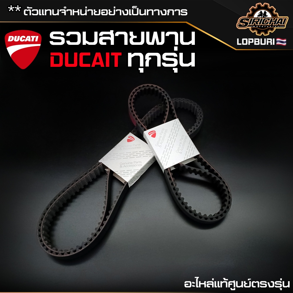 รวม สายพาน สายพานไทม์มิ่ง อะไหล่แท้ศูนย์ Ducati ทุกรุ่น