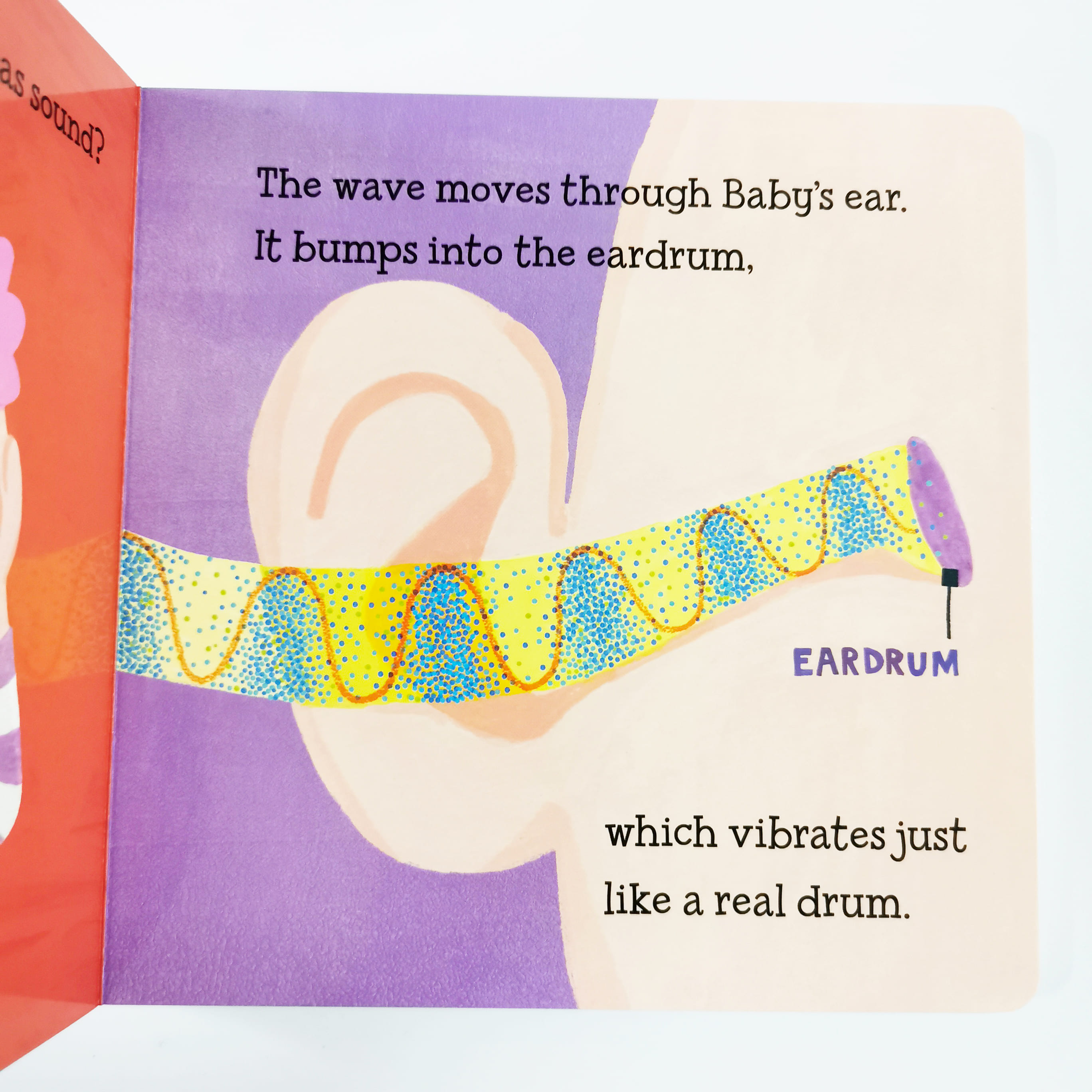 Baby Loves Hearing! (The Five Senses)