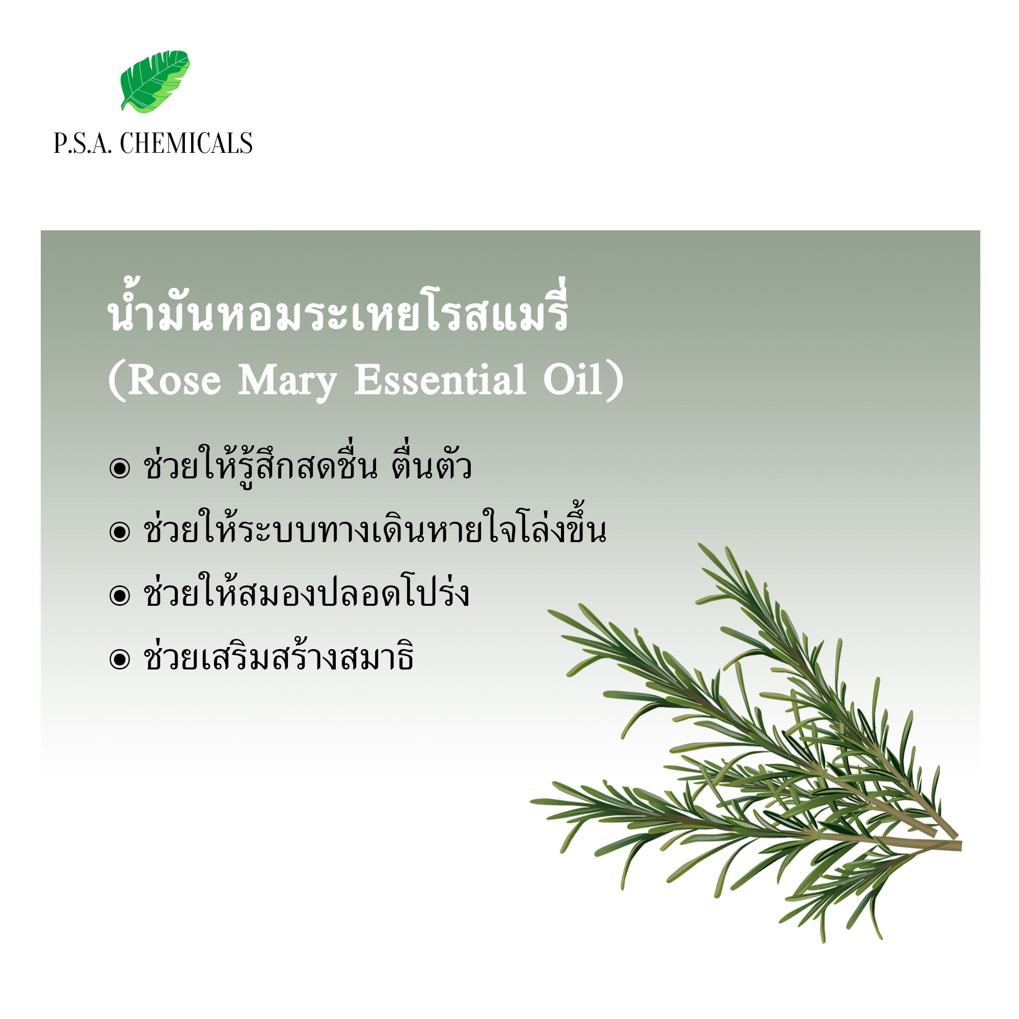 น้ำมันหอมระเหยโรสแมรี่ (Rosemary Essential Oil) ขนาด 50 g ใช้กับเครื่องพ่นอโรม่า เตาอโรม่า