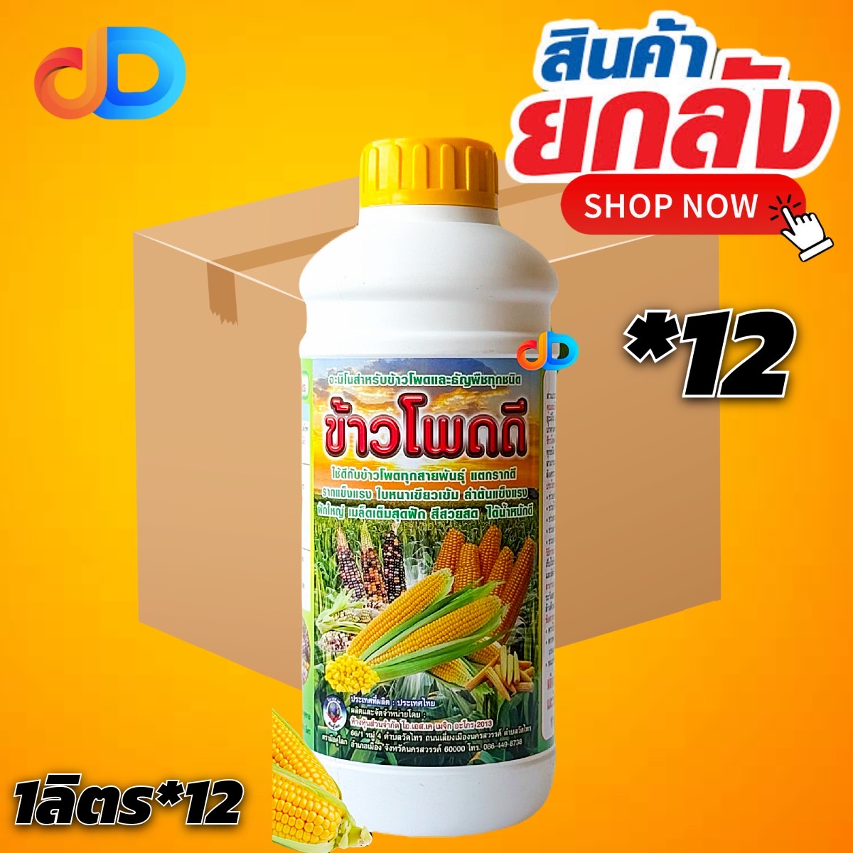 (ยกลัง*12) ข้าวโพดดี ขนาด 1 ลิตร รากเเข็งเเรง แตกรากดี ใบหนาเขียวเข้ม