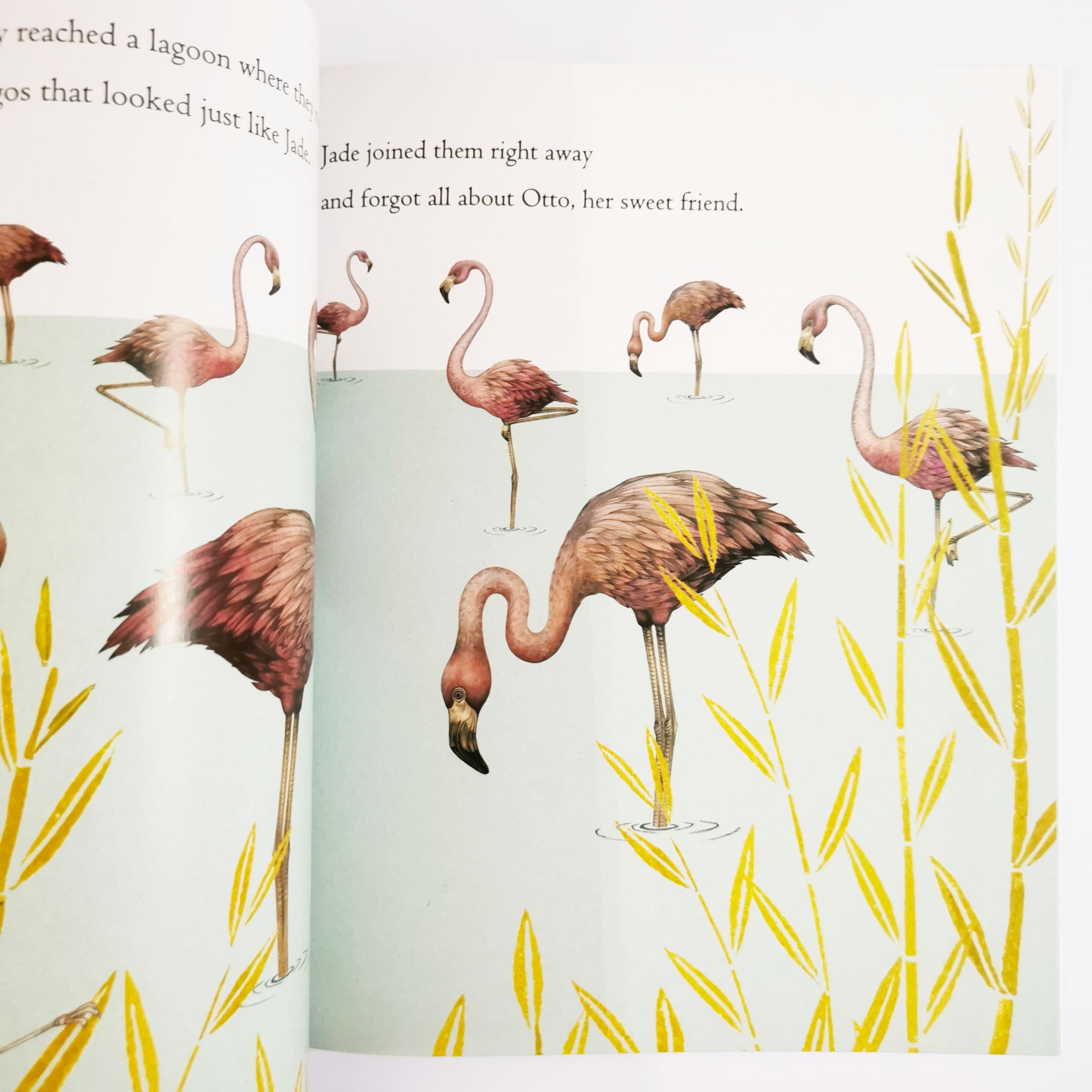 Otto And Jade On The Wings Of Friendship