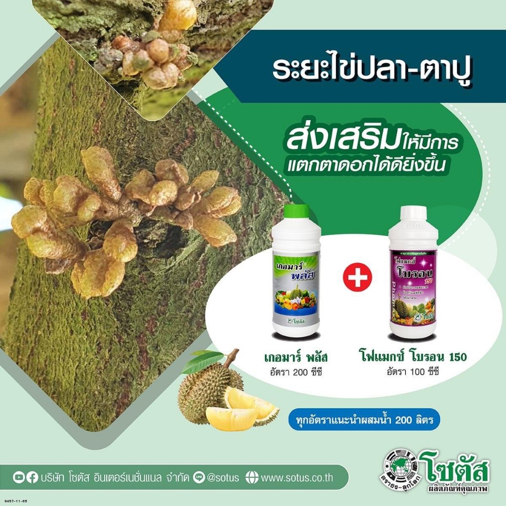 ชุดระยะไข่ปลา ตาปู แตกตาดอกได้ดียิ่งขึ้น เกอมาร์พลัส+โฟแมกซ์ โบรอน 150 ขนาด 1 ลิตร