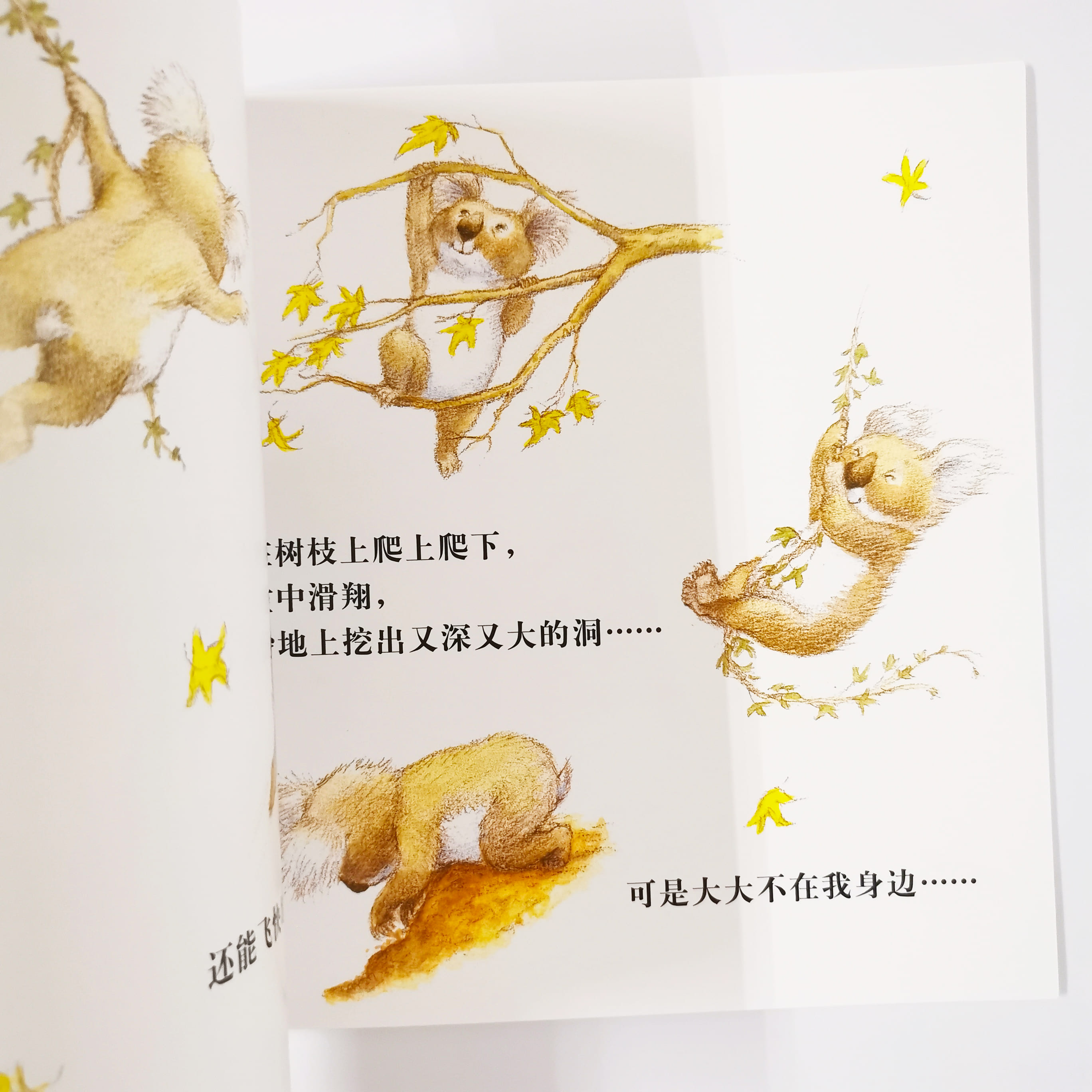 大大行我也行 If big can...I can