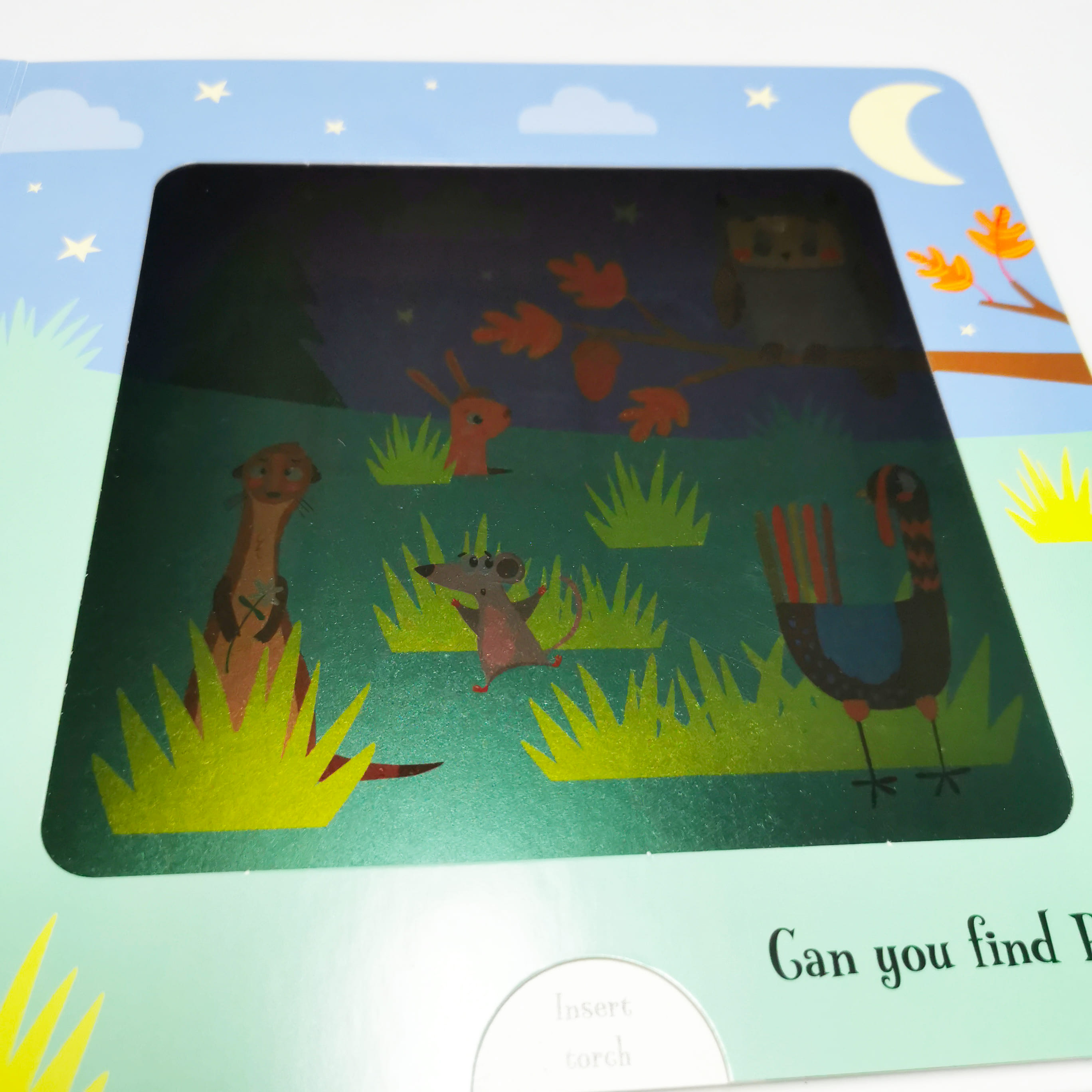 Goodnight Bear (Magic Torch Books)