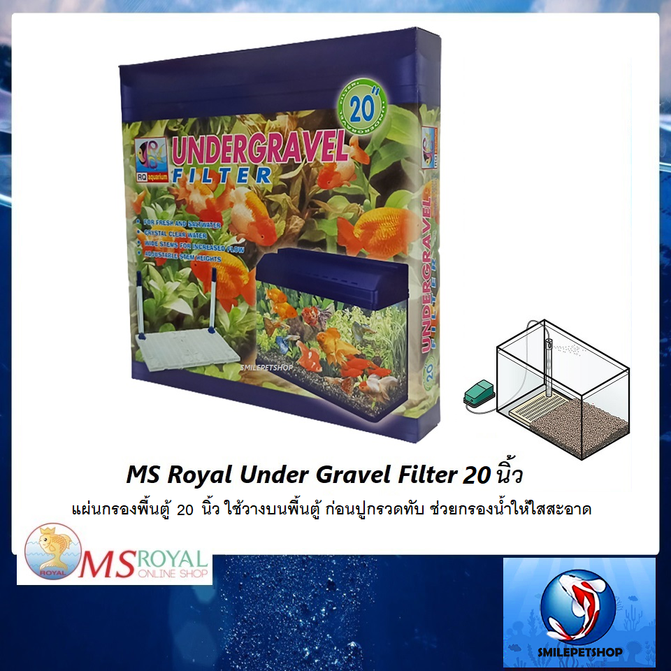 MS Royal Under Gravel Filter แผ่นกรองพื้นตู้ 20 นิ้ว(ใช้วางบนพื้นตู้ ก่อนปูกรวดทับ ช่วยกรองน้ำให้ใสสะอาด)
