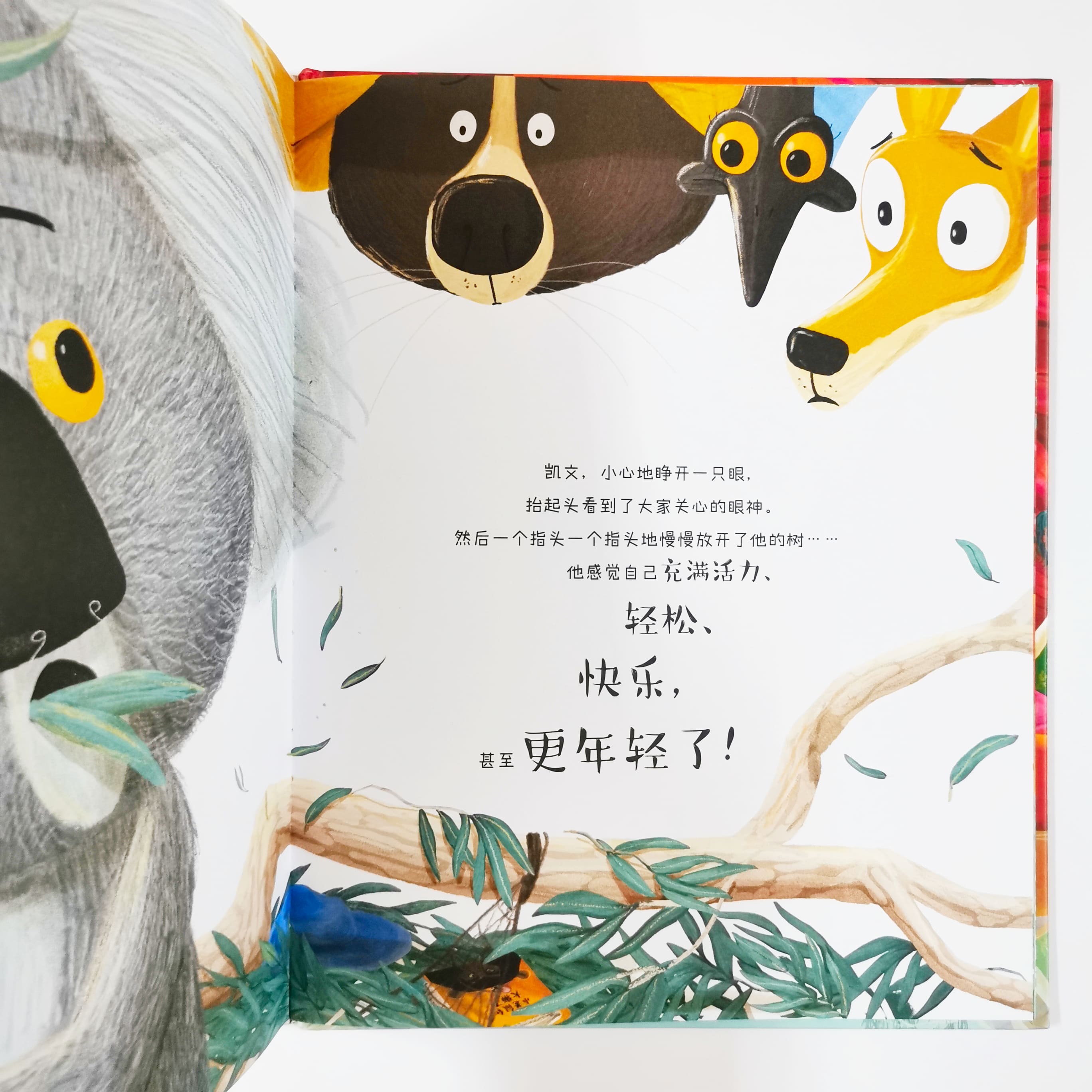 考拉做得到 The Koala Who Could