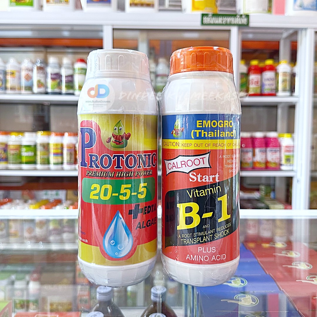 (ชุด2ขวด)ปุ๋ยน้ำ 20-5-5 + EDTA Zn S ALGAE ปุ๋ยน้ำทางใบ ขนาด 1 ลิตร +วิตามินบี-1 (VitaminB-1) #สารกระตุ้นรากพืช ขนาด 1ลิต
