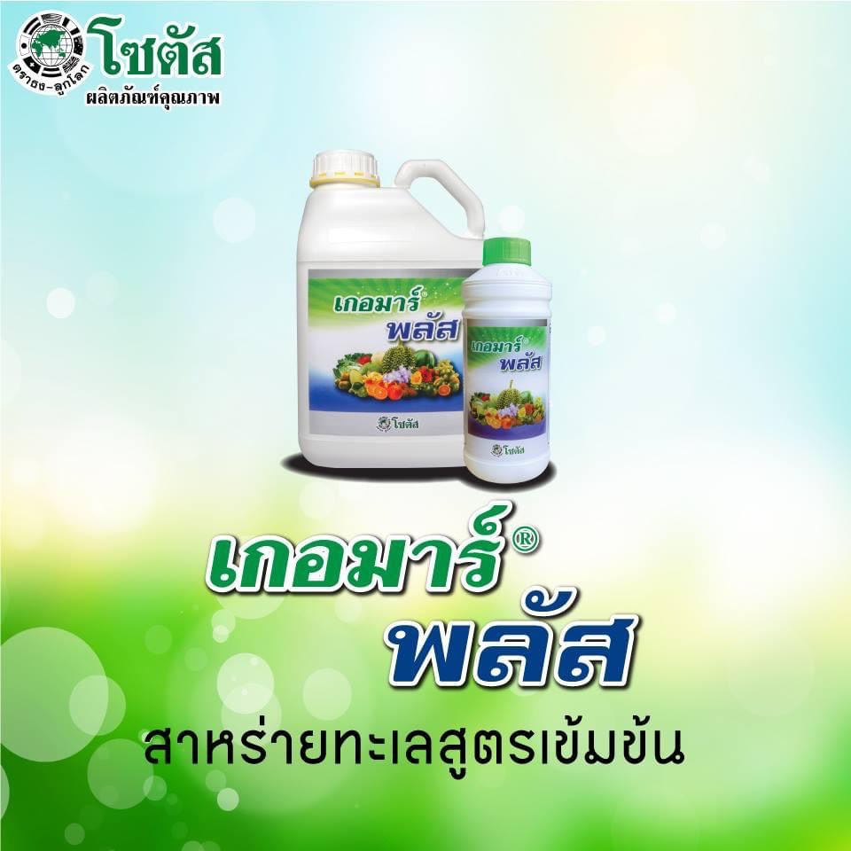 (ยกลังx12ขวด) เกอมาร์พลัส ส่งเสริมการออกดอกติดผล ฟื้นสภาพต้นหลังเก็บเกี่ยว เกอมาร์ พลัส (Goemar Plus) ขนาด1ลิตร